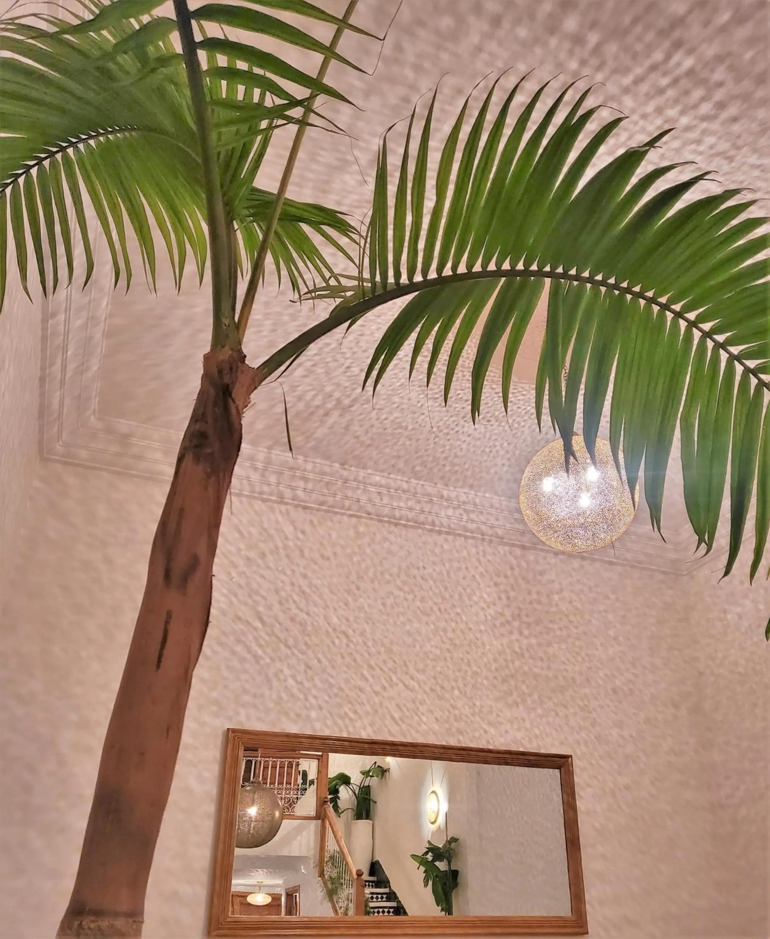 Garden in Riad with 3 Swimming Pools