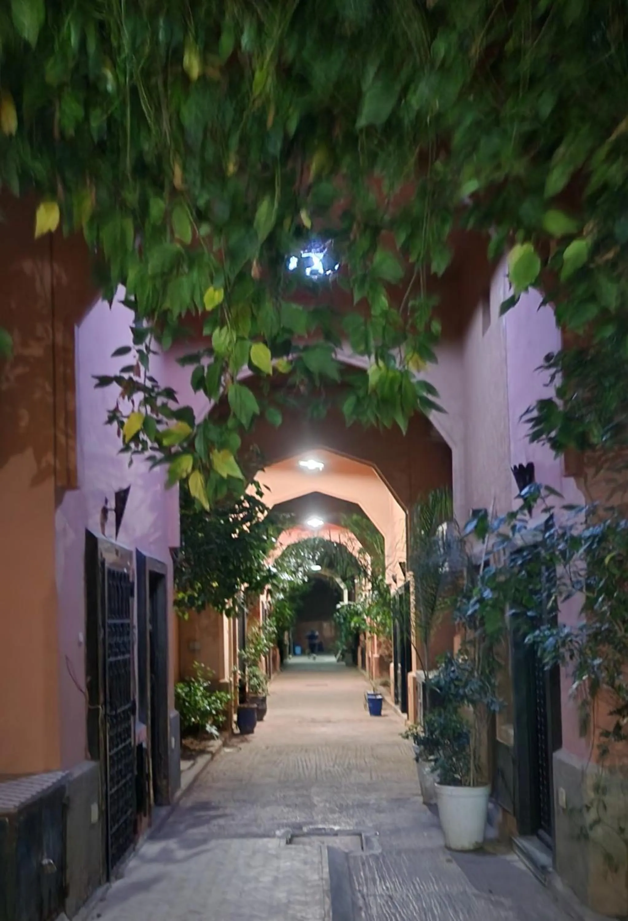 Garden in Riad with 3 Swimming Pools