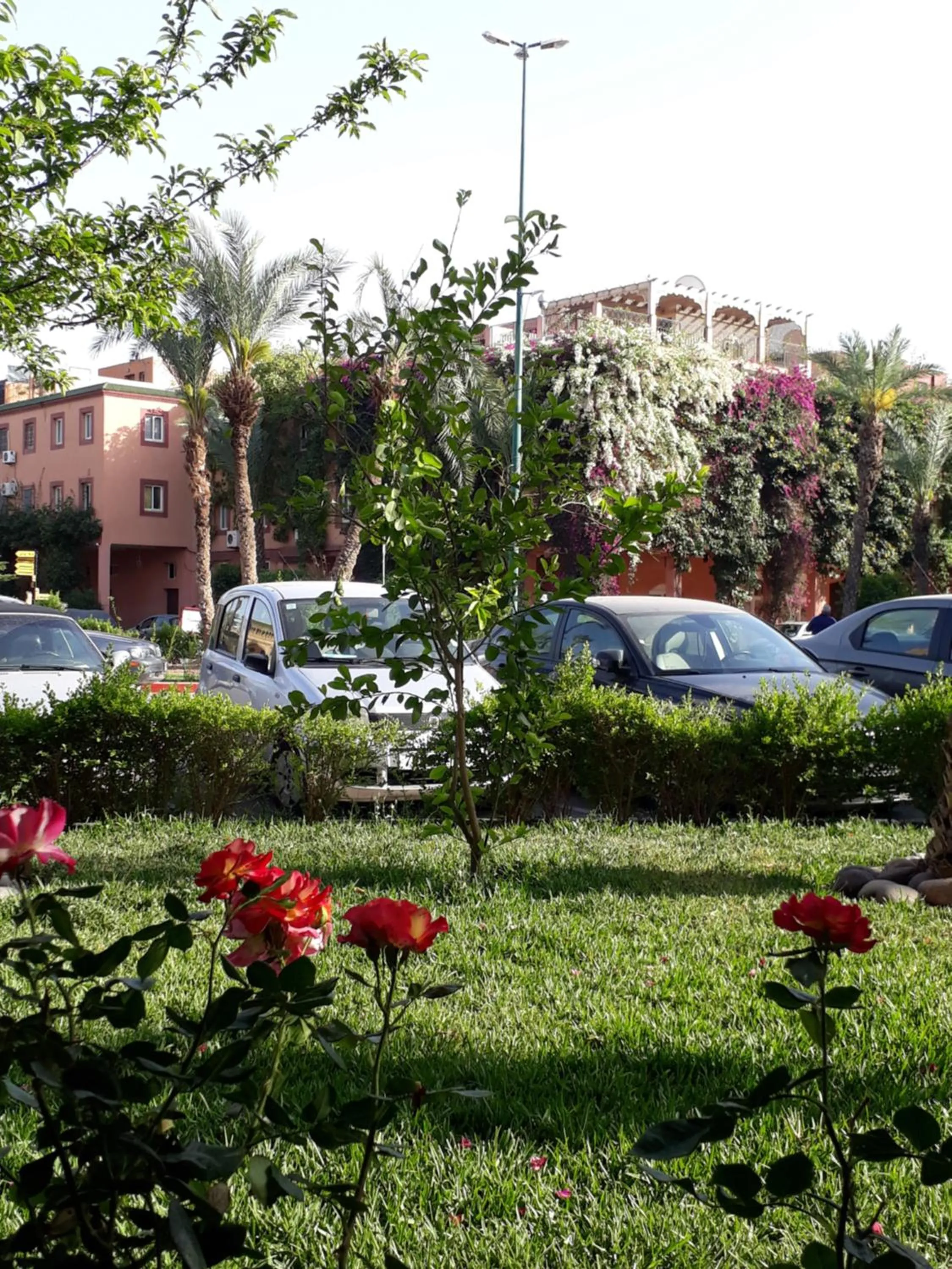 Property building in Riad with 3 Swimming Pools