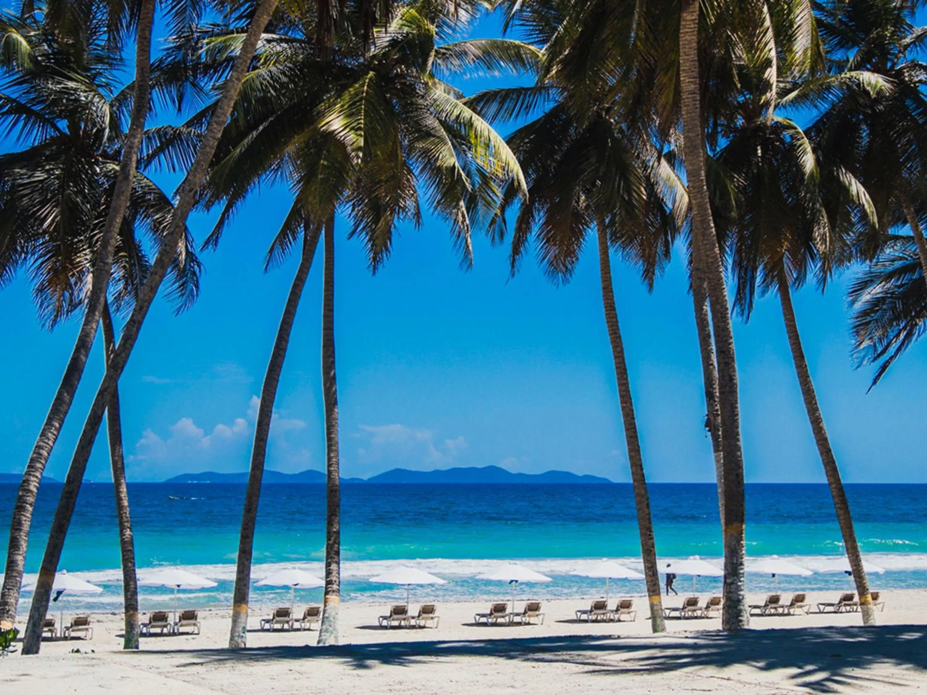 Natural landscape in Hesperia Playa el Agua
