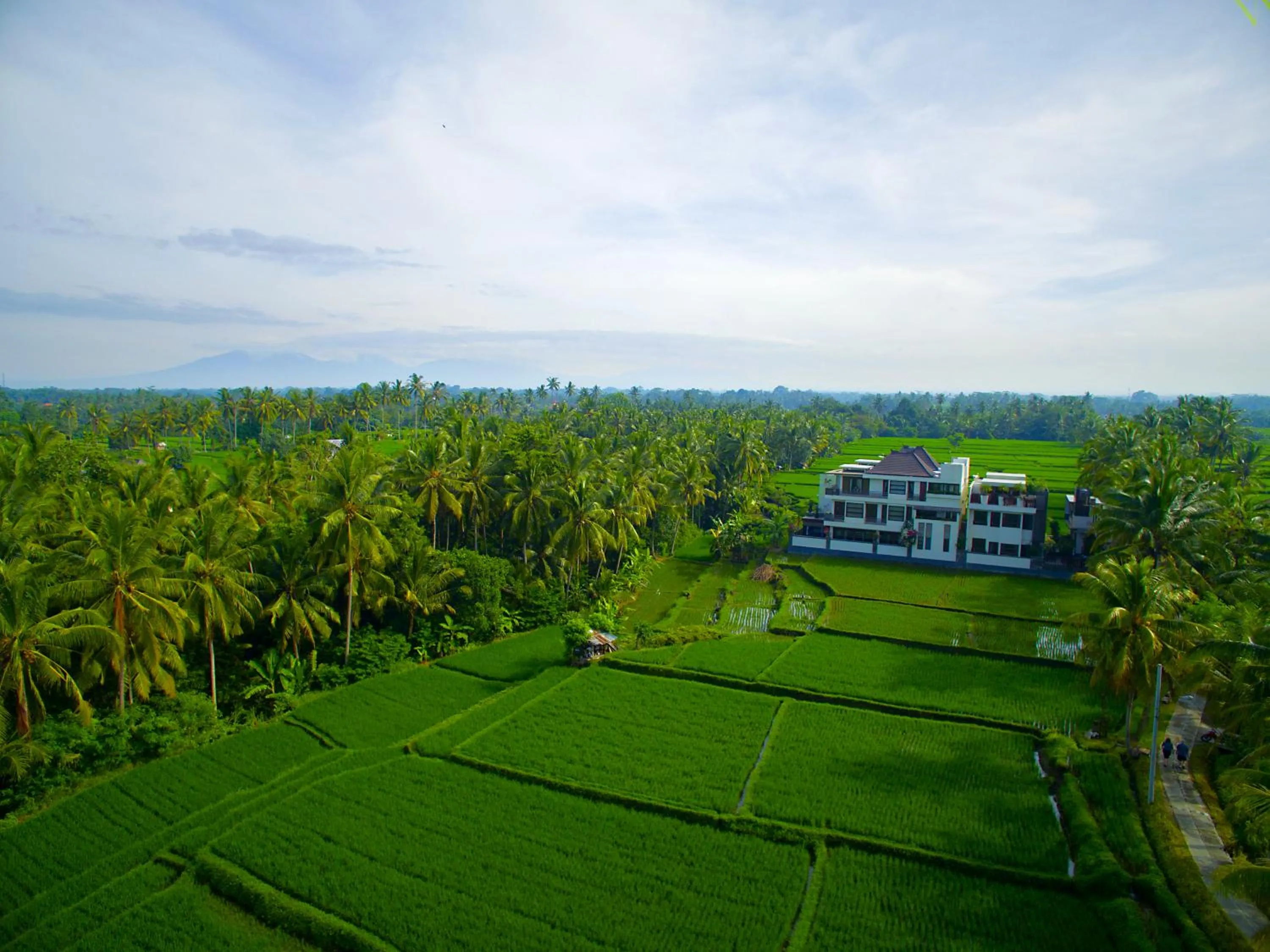 Property building in The LUXE Ubud - a Boutique Hotel