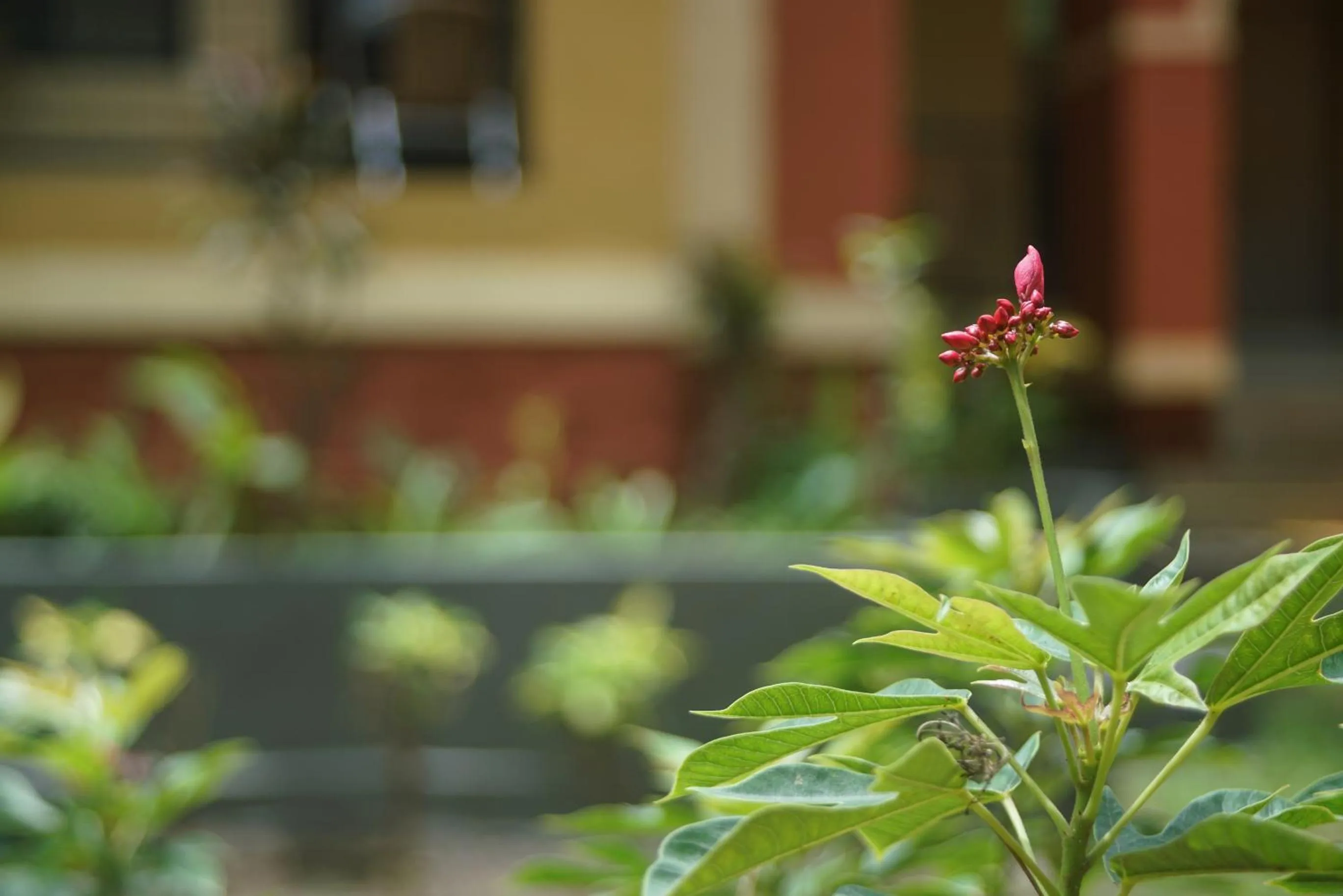 Garden in Nature Trails Durshet, Khopoli