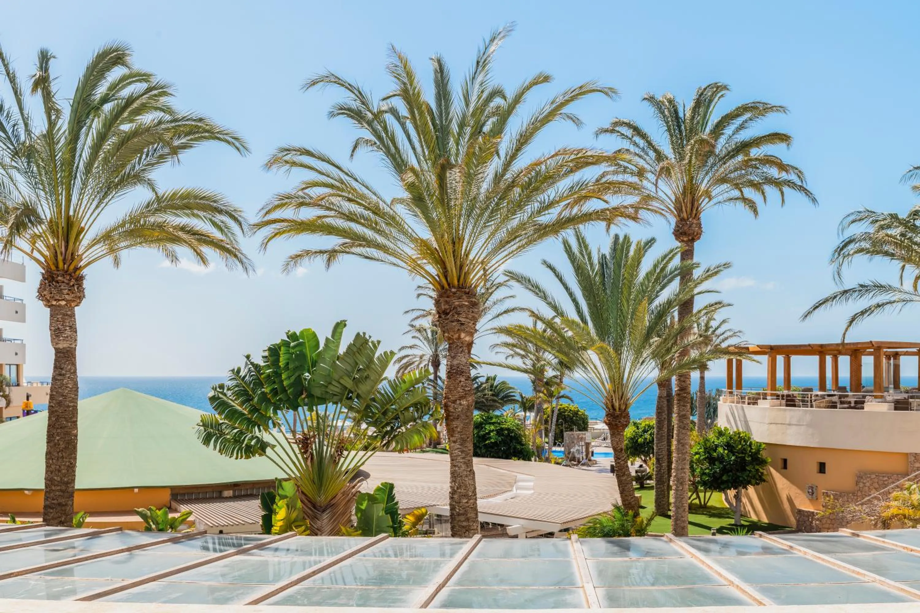 Garden view in Iberostar Waves Playa Gaviotas All Inclusive