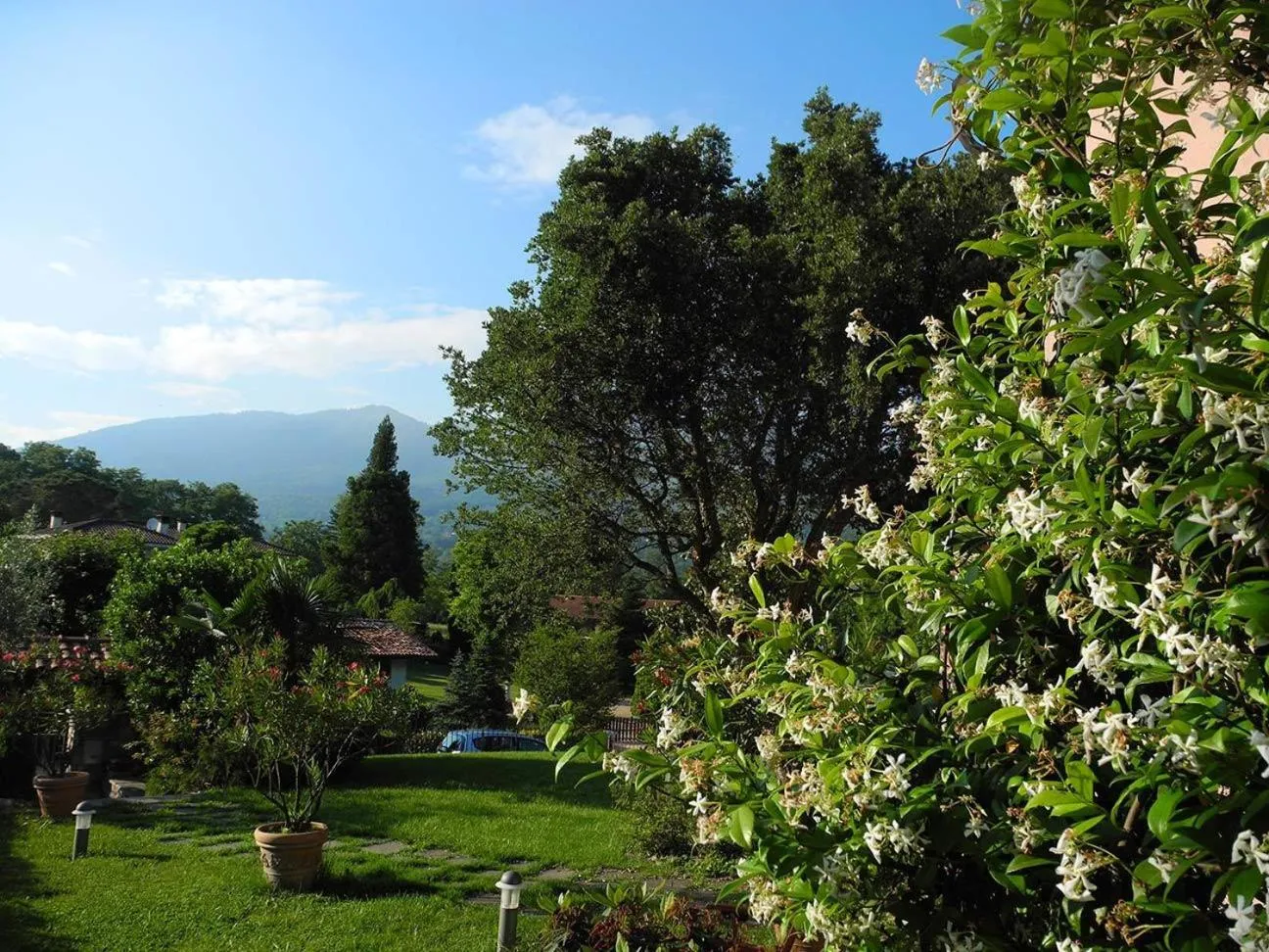 Garden in Villa Campo dei Fiori