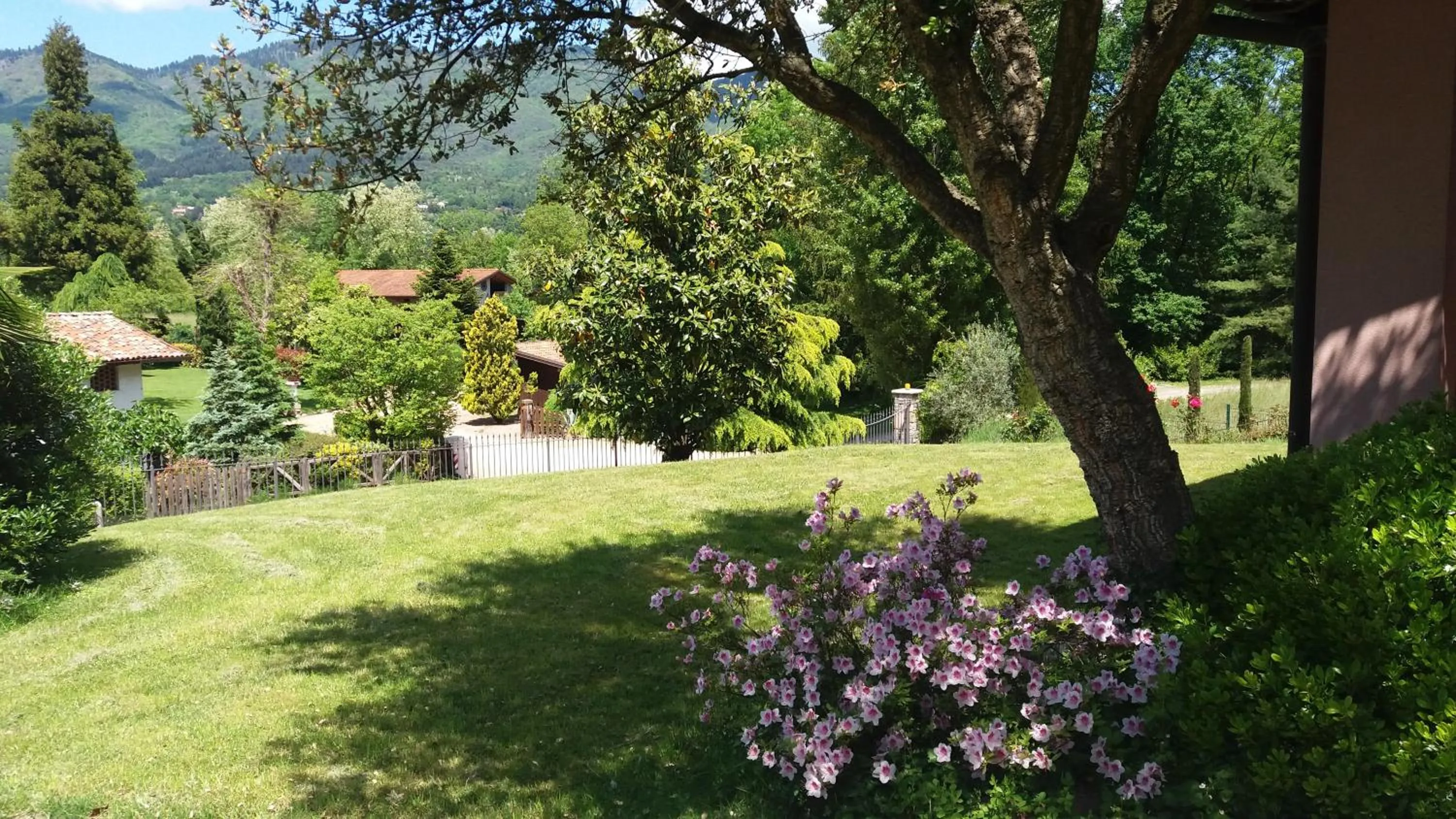 Garden in Villa Campo dei Fiori