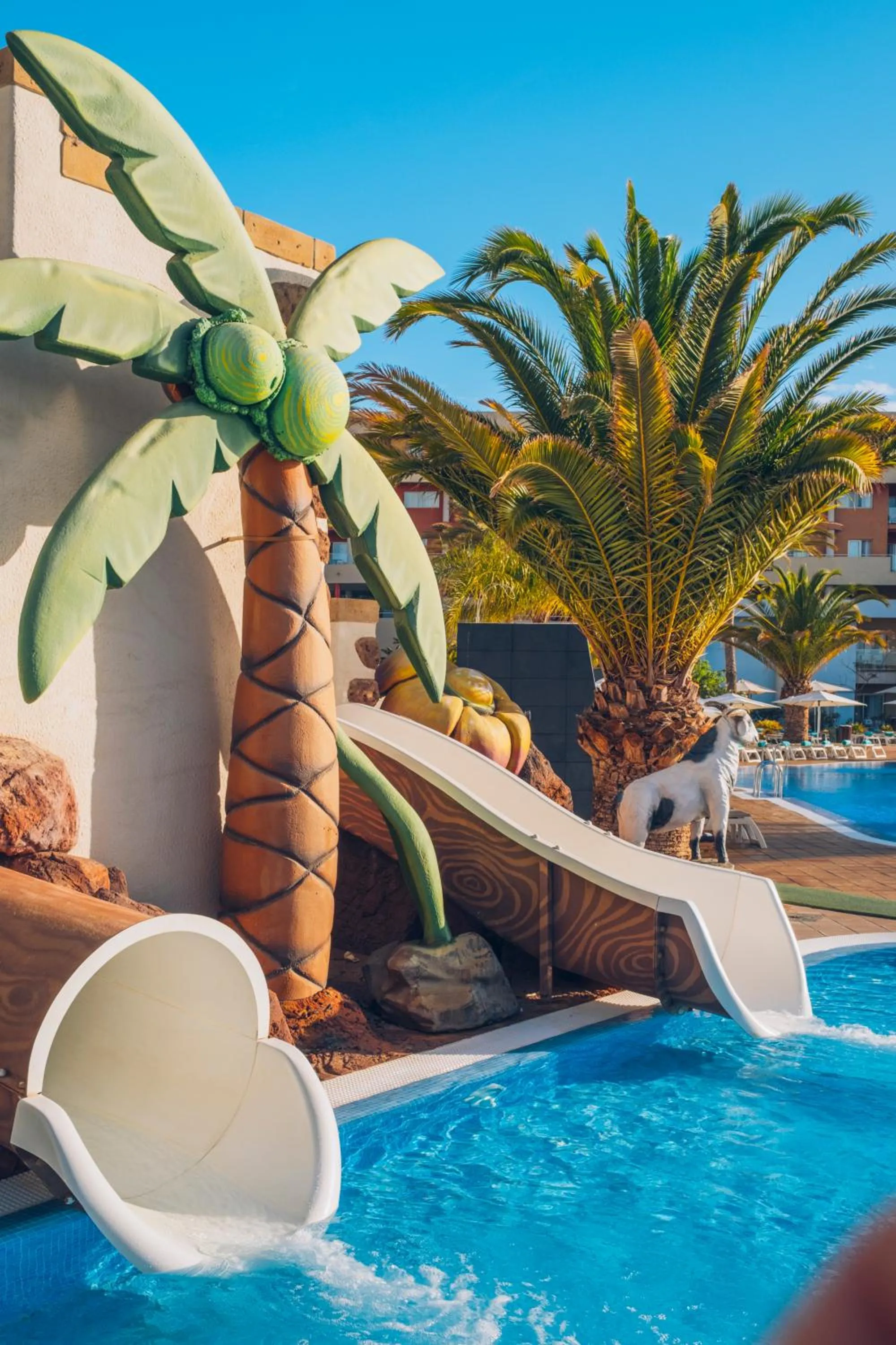 Swimming pool in Iberostar Waves Gaviotas Park