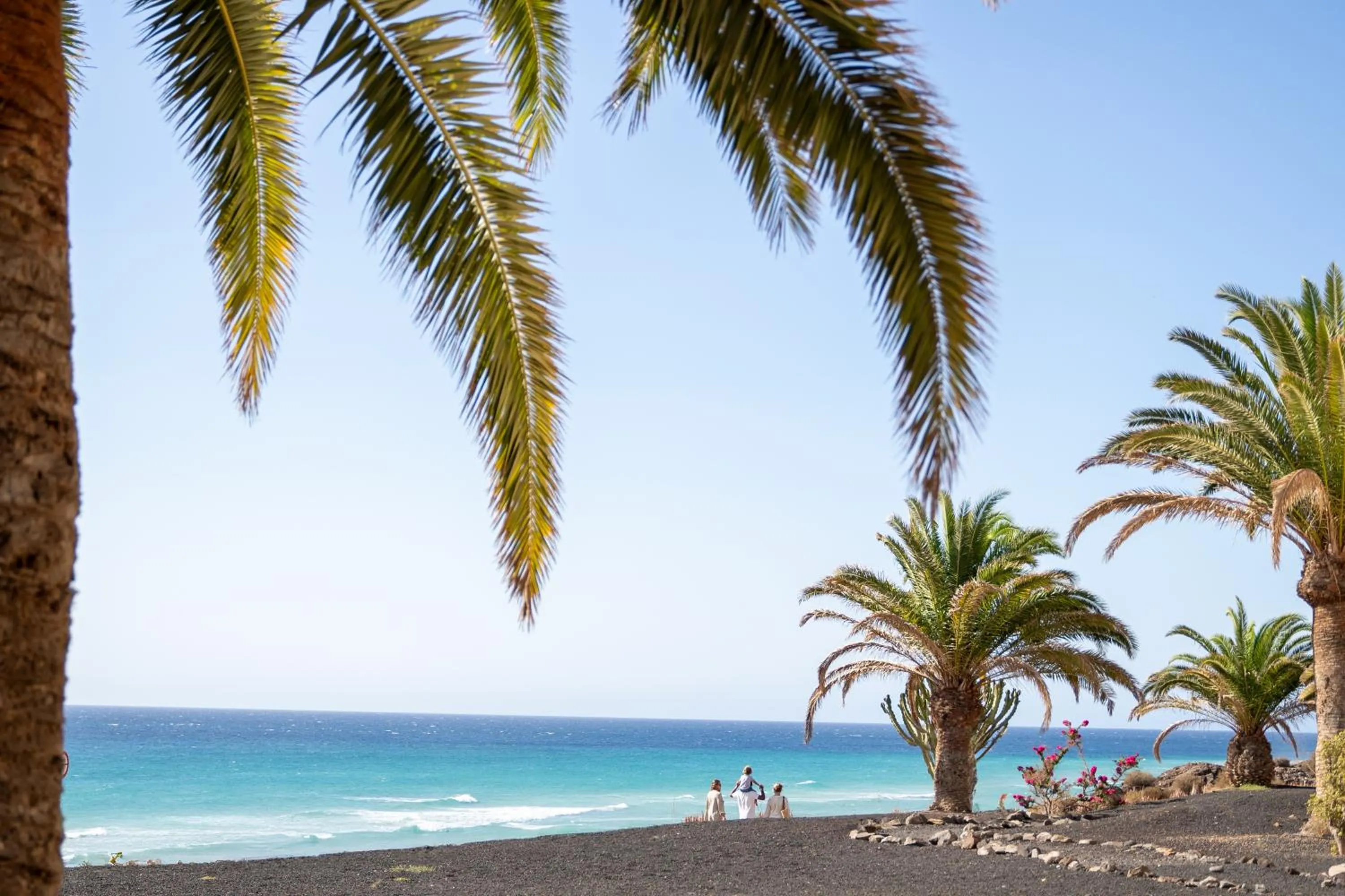 Beach in Iberostar Waves Gaviotas Park