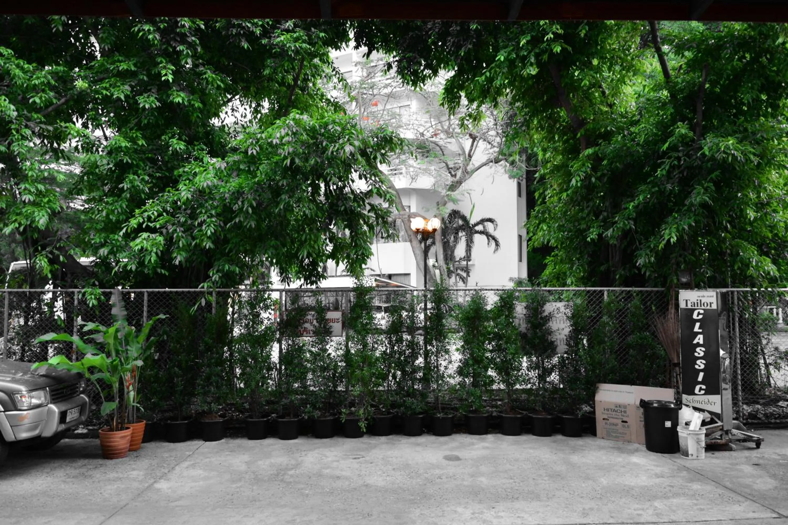 Garden in Seedling House