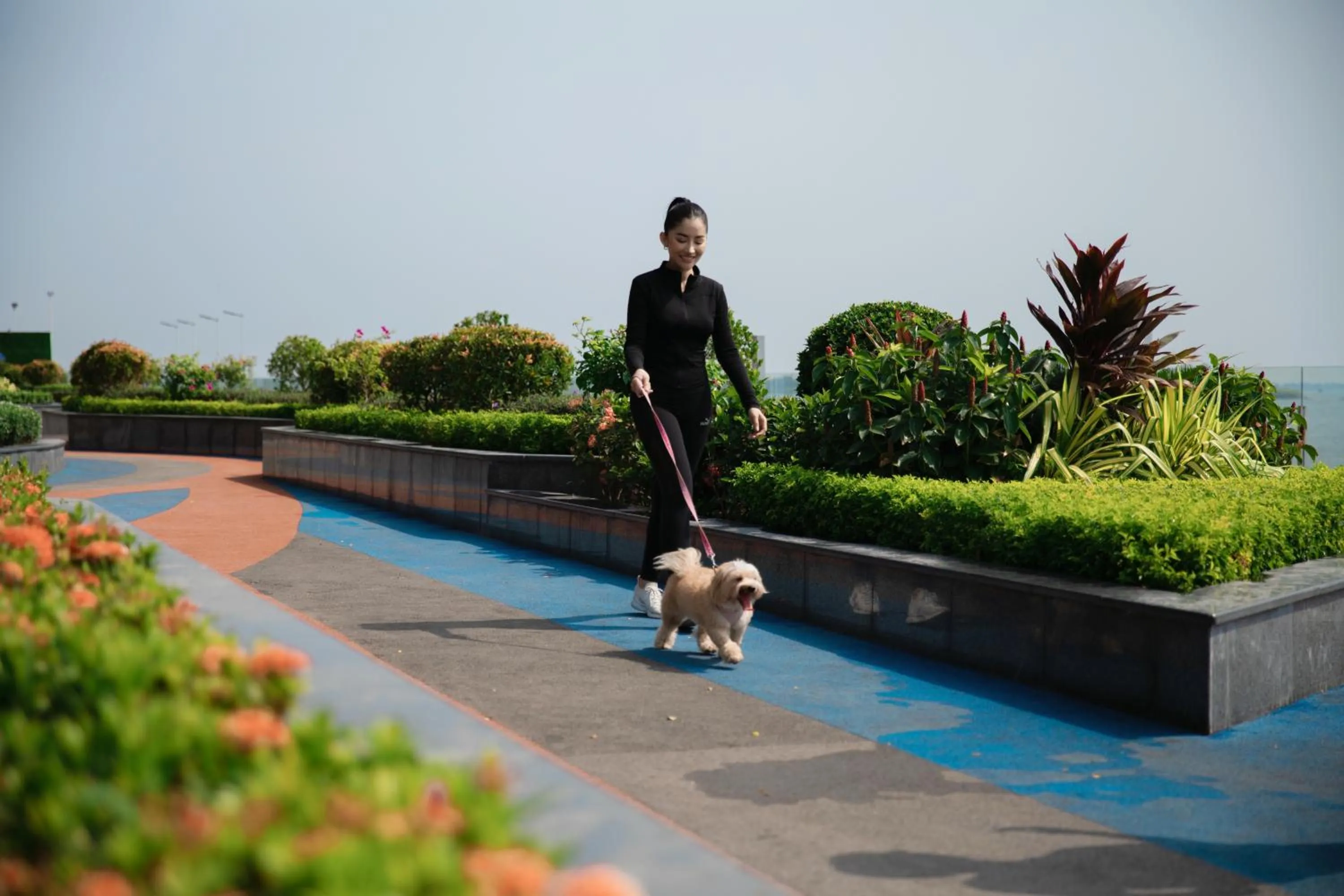 Garden in Merton Holiday Inn
