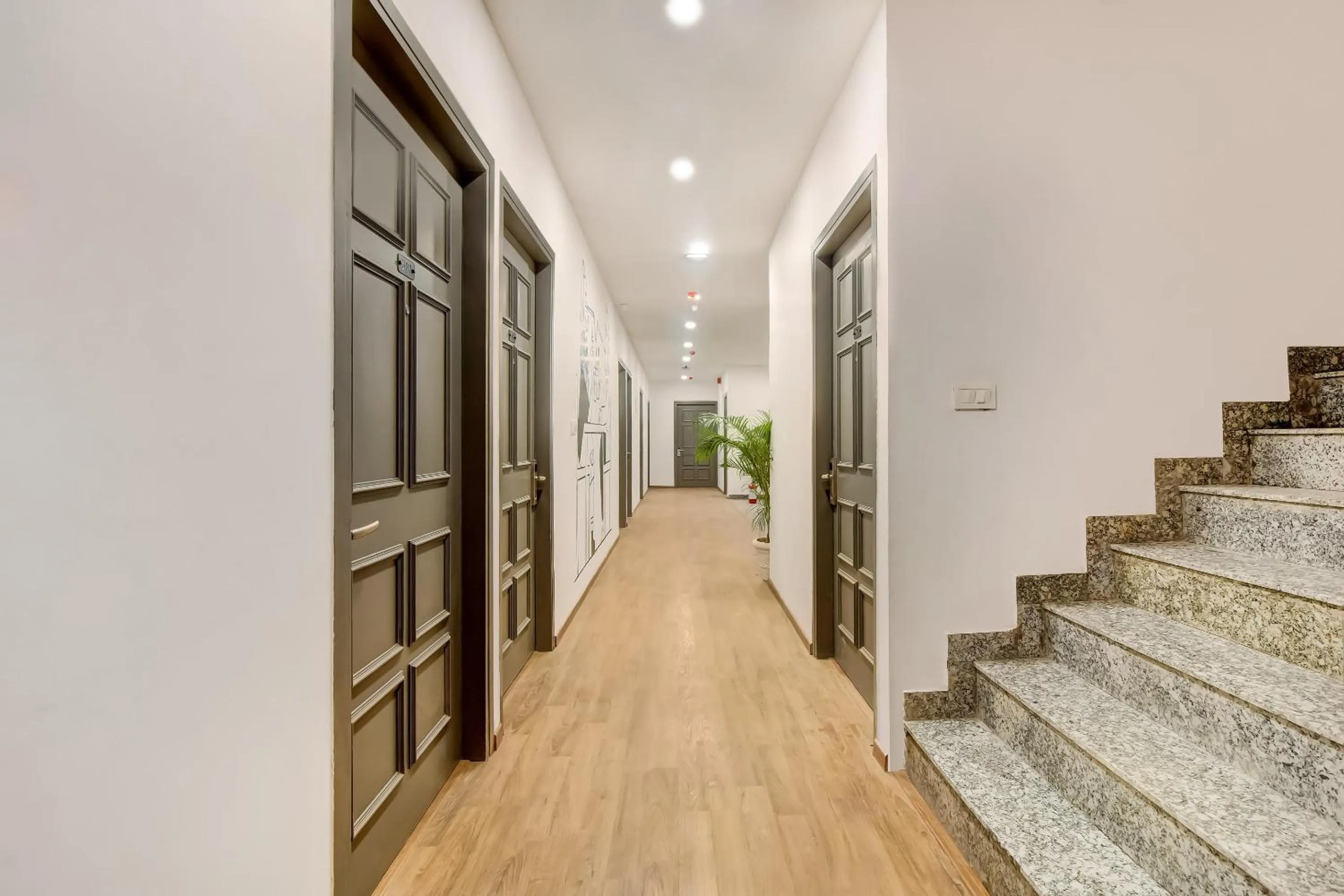 Collection O Near Kohat Enclave Metro Station