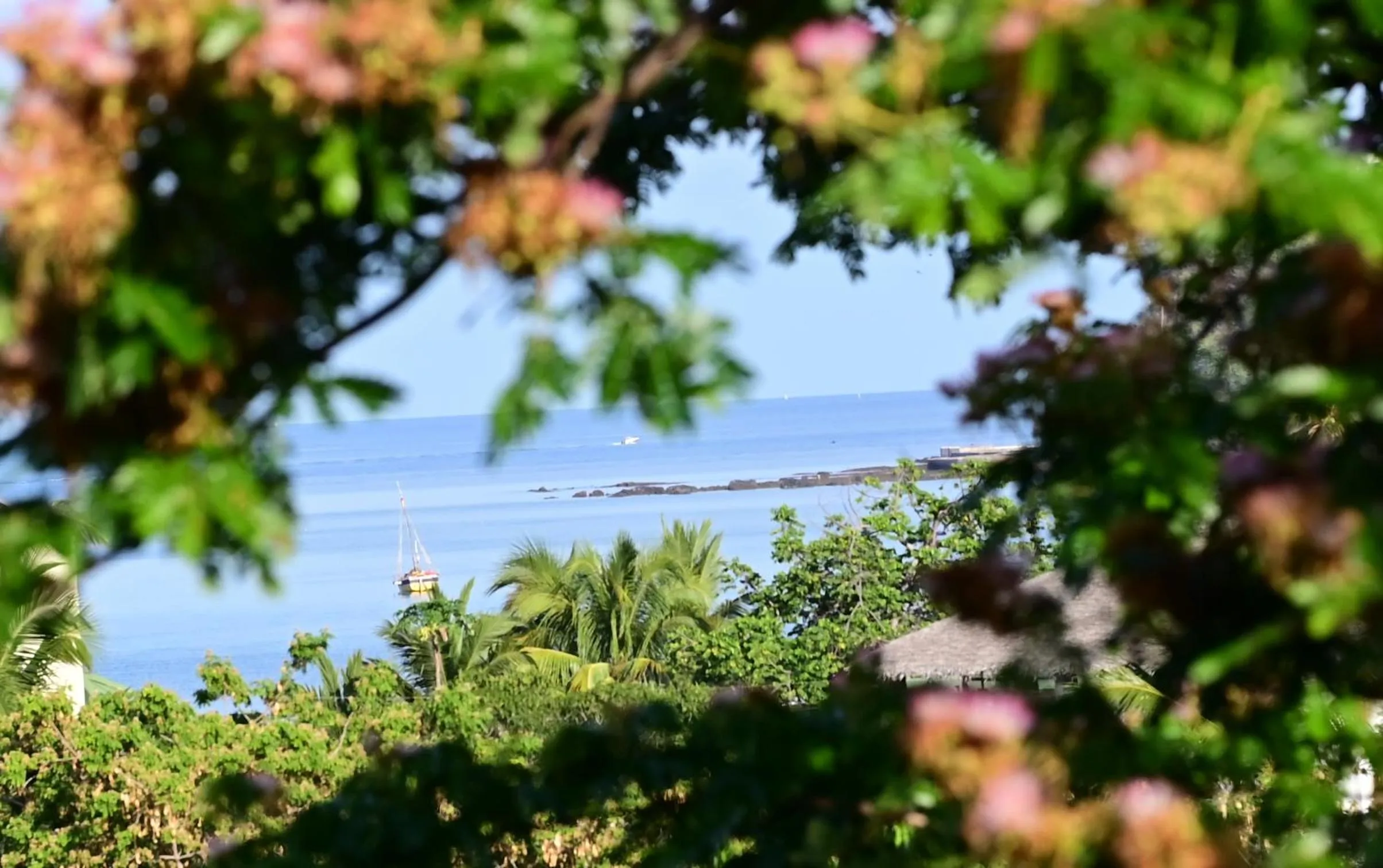 Day in Hotel Les Boucaniers