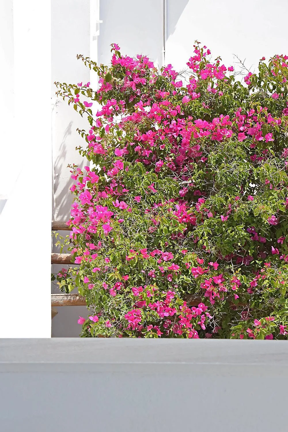 Decorative detail in Phaos Santorini Suites