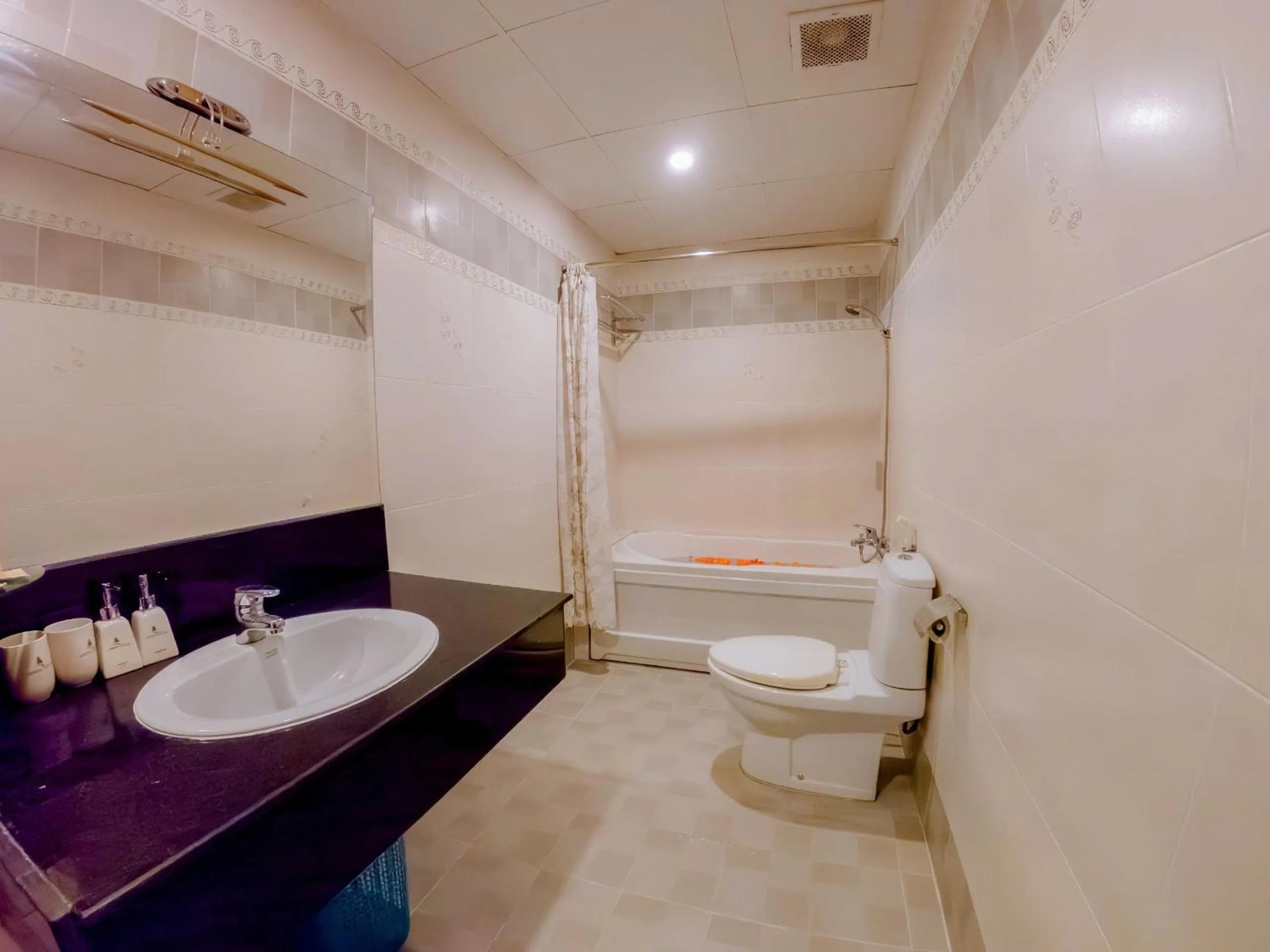 Toilet in Lanxy Hotel Nha Trang