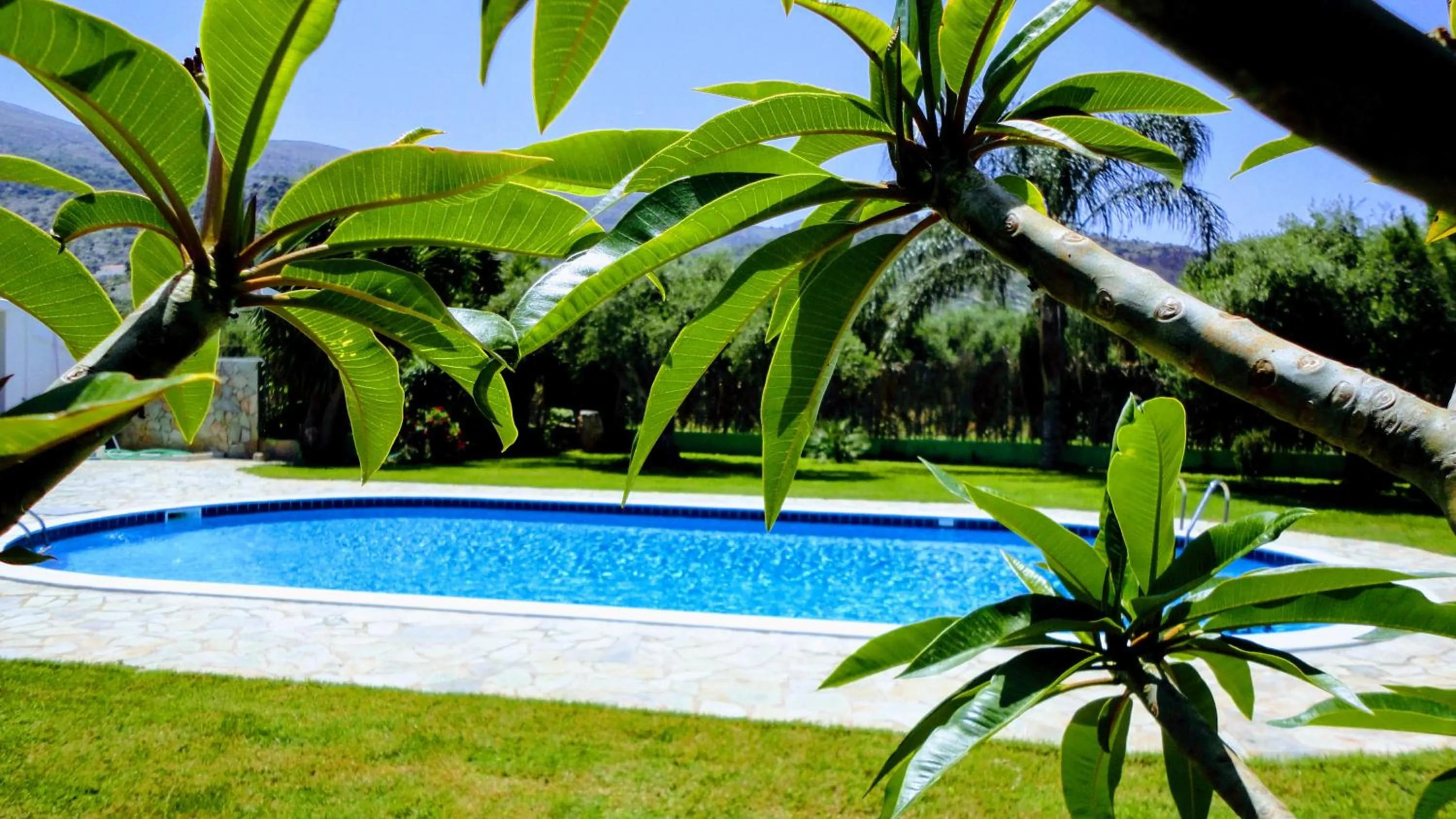 Swimming pool in Ibiscus Hotel Malia