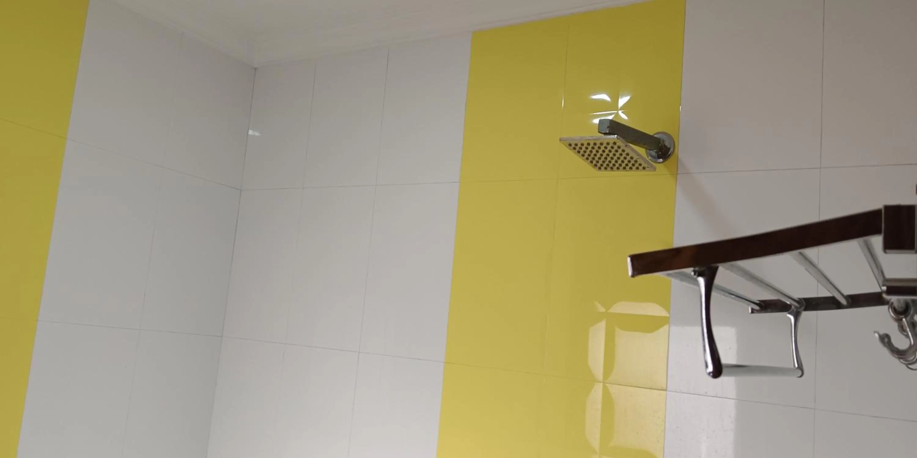 Bathroom in Hotel RTS Plaza Near IGI Airport