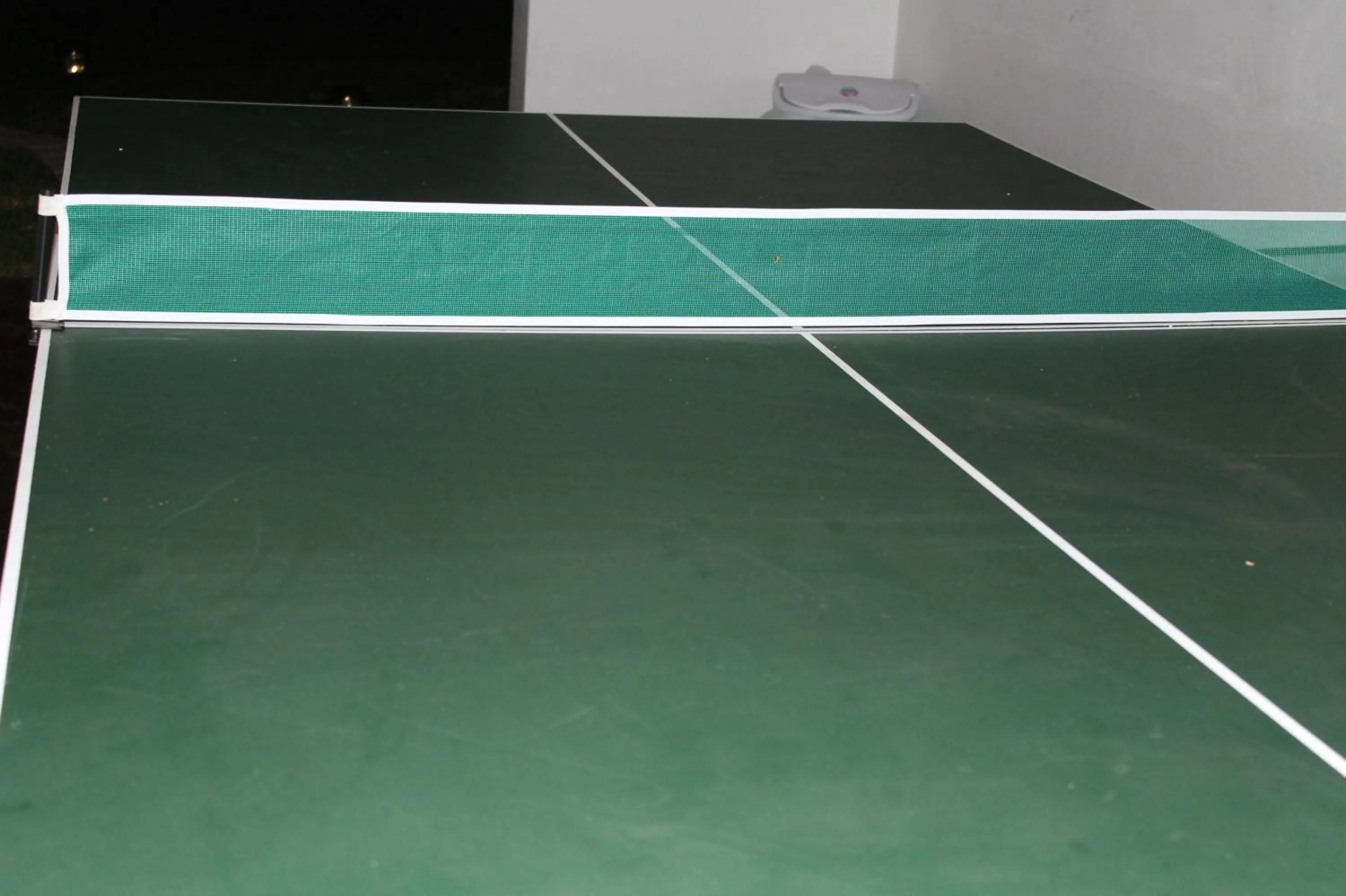 Table tennis in Large 4BR, 4BA House Beach, Entertainment, Nightlife
