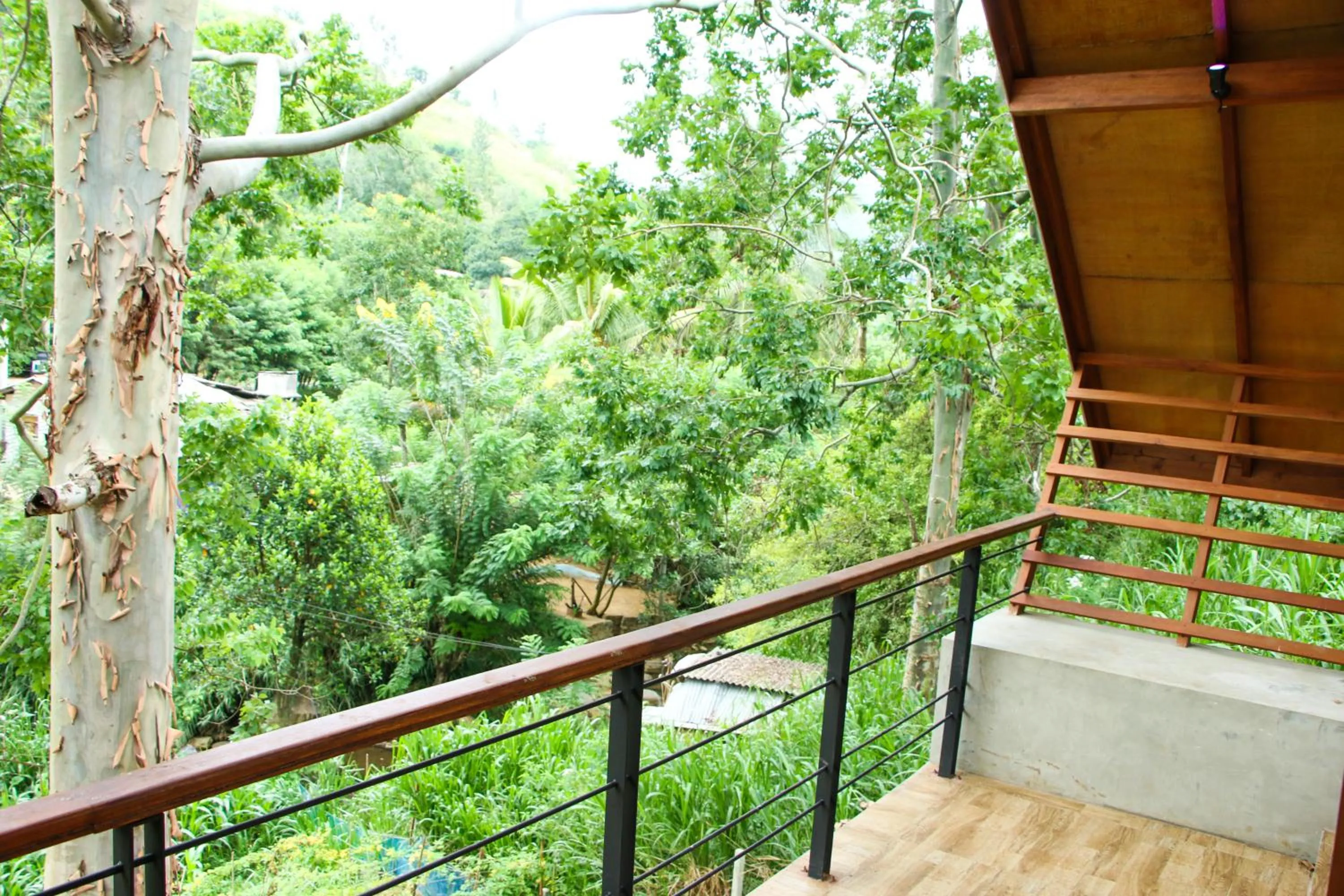 Natural landscape in EllaCrest by Aloft