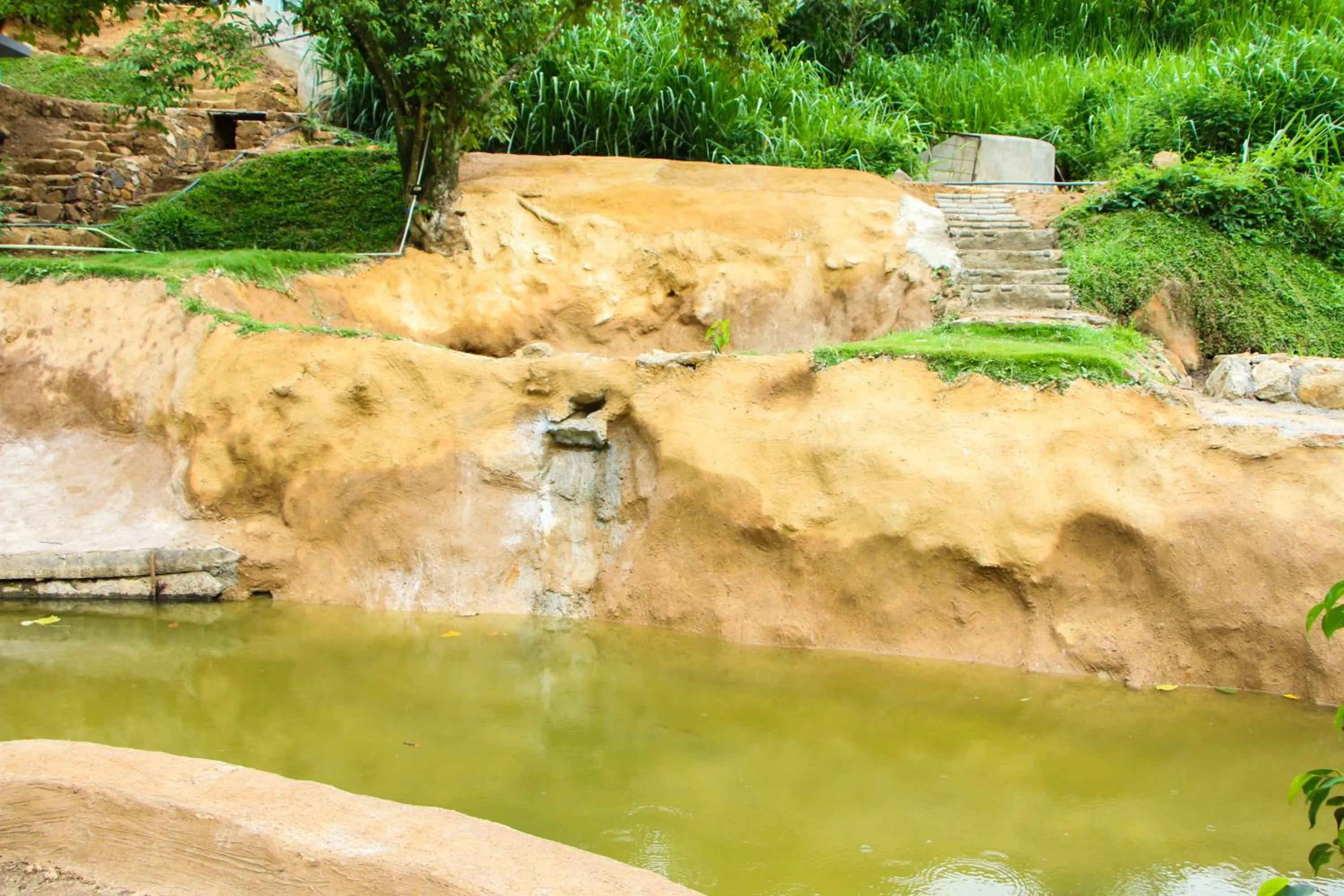 Garden in EllaCrest by Aloft