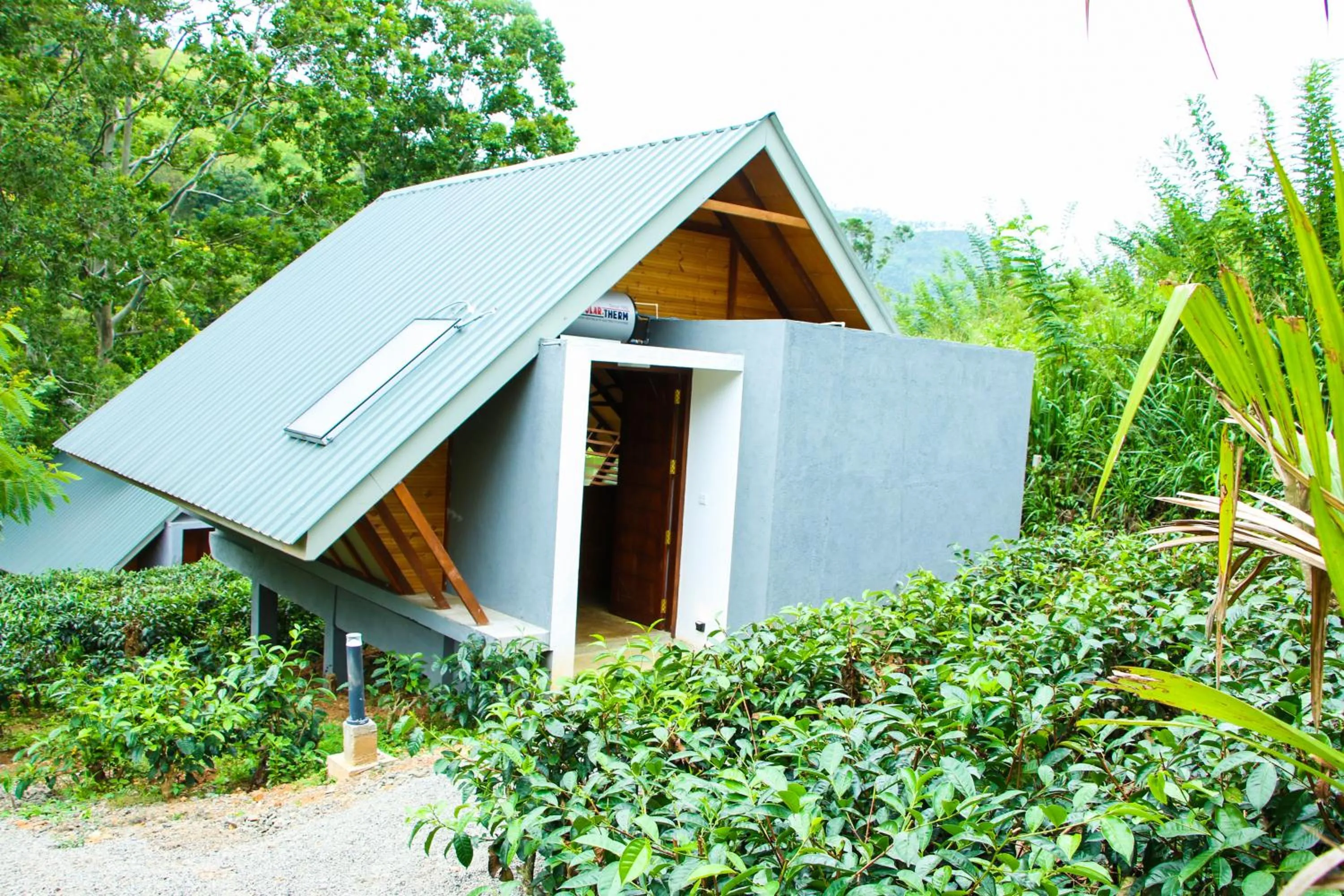 Garden in EllaCrest by Aloft