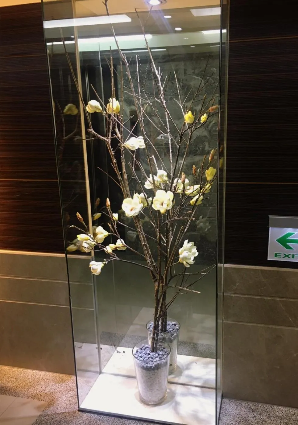 Facade/entrance in Michelle hotel