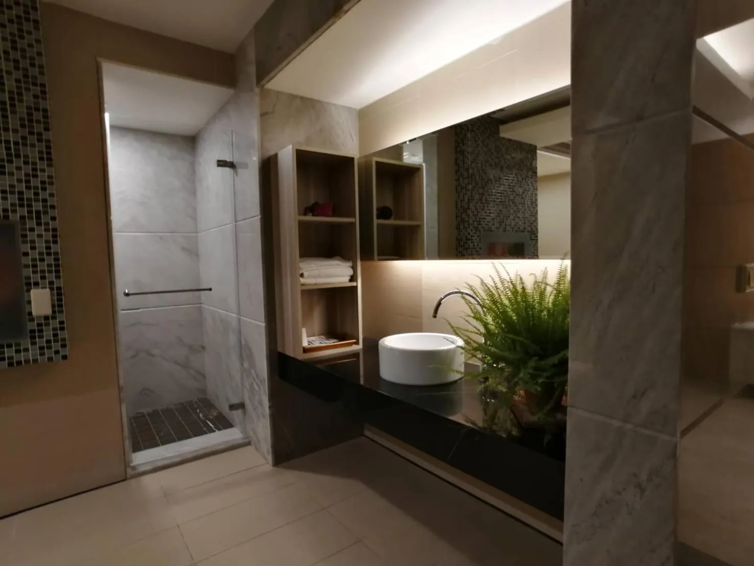 Shower in Michelle hotel