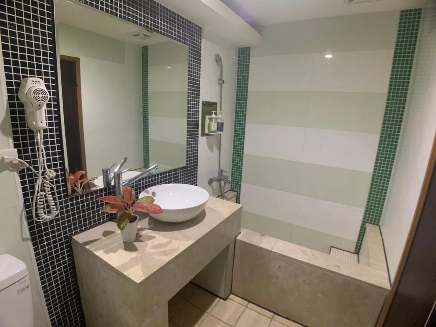 Shower in Michelle hotel