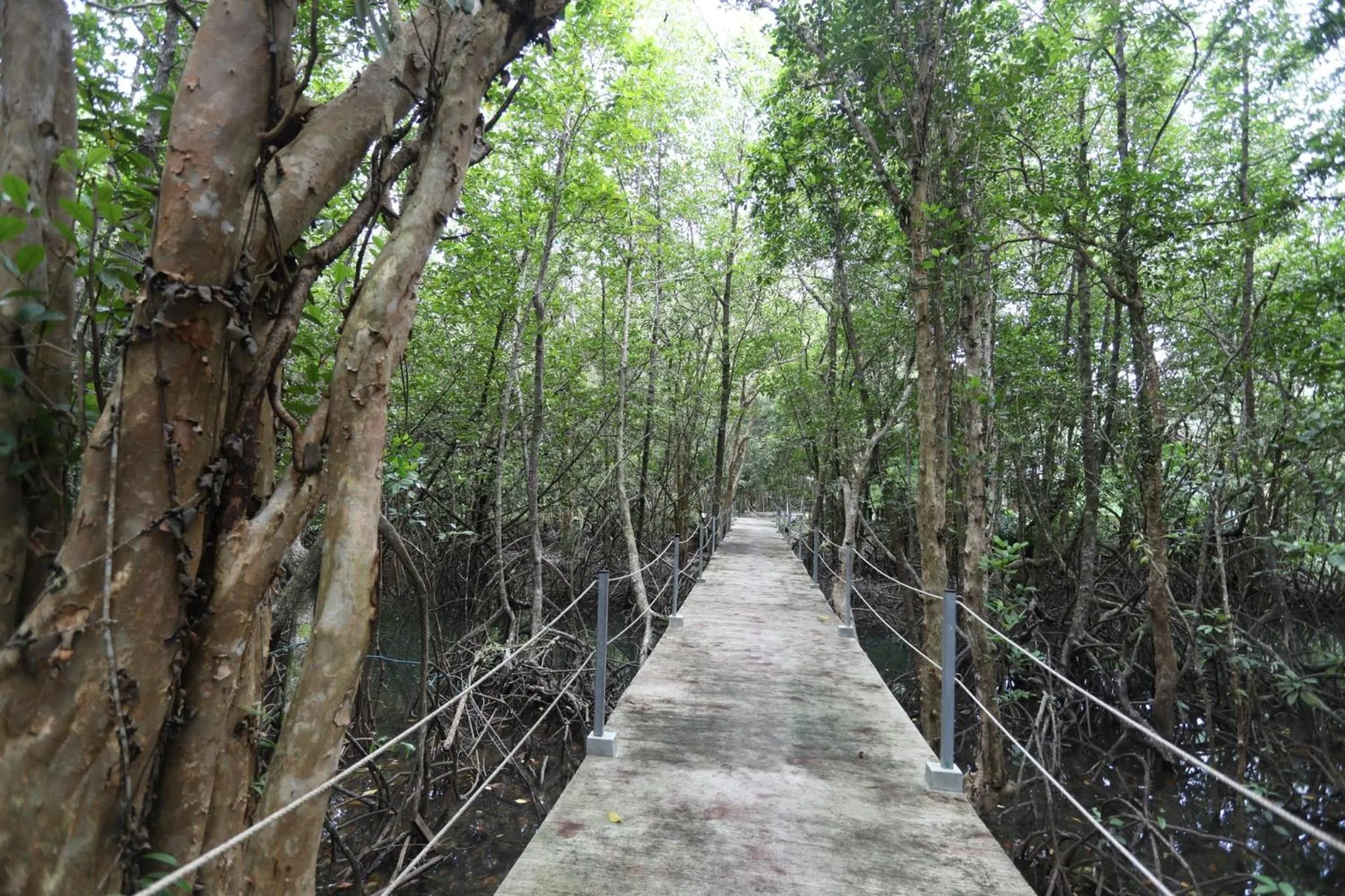 Other in Mata Guesthouse