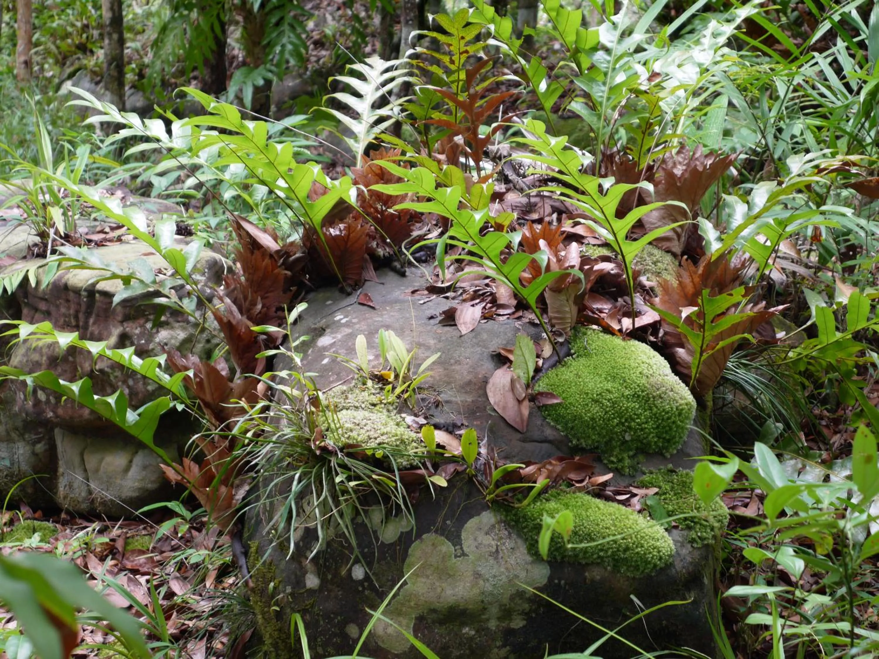 Seasons in Mata Guesthouse