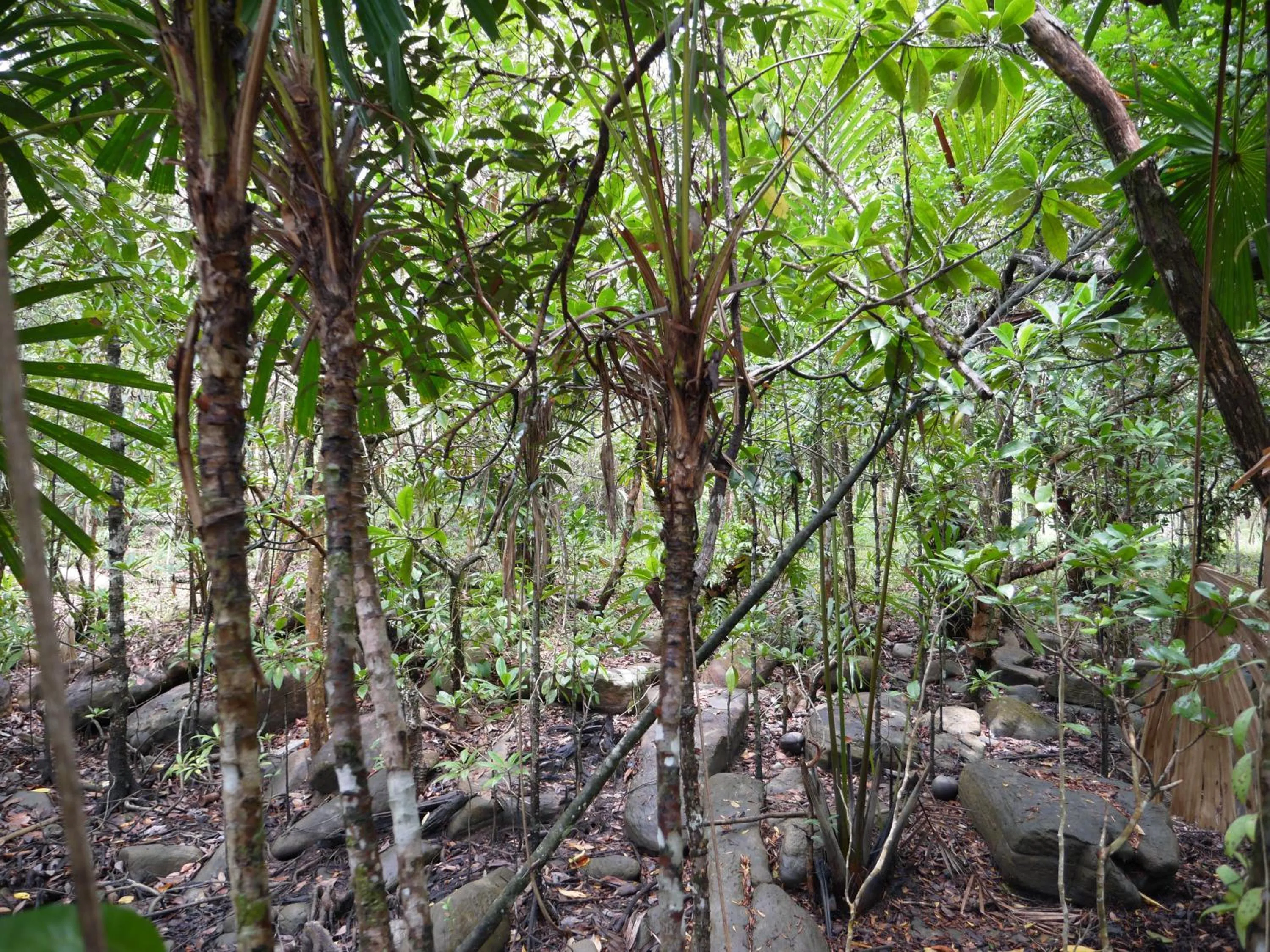 Property building in Mata Guesthouse