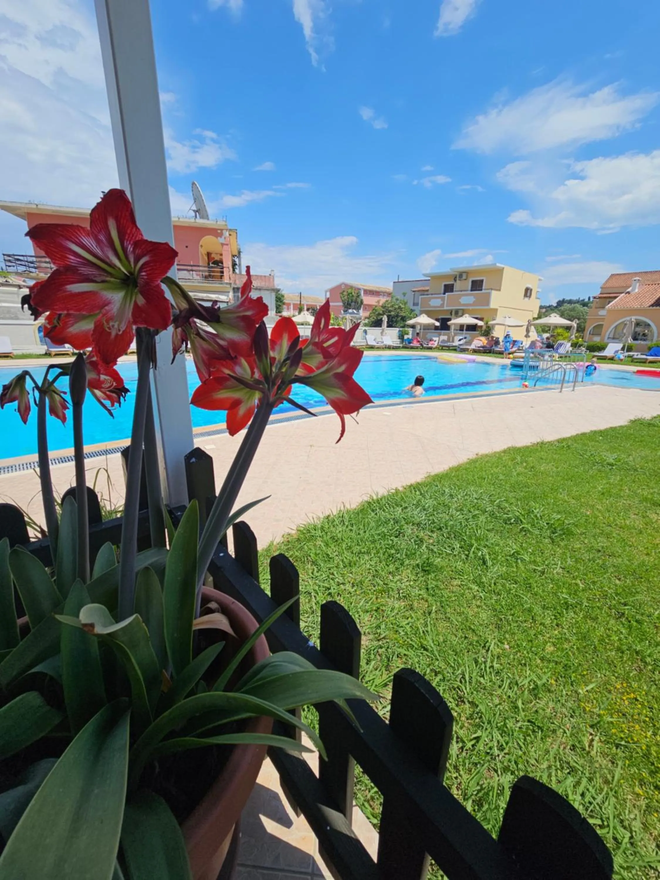 Day in Tondoris Apartments