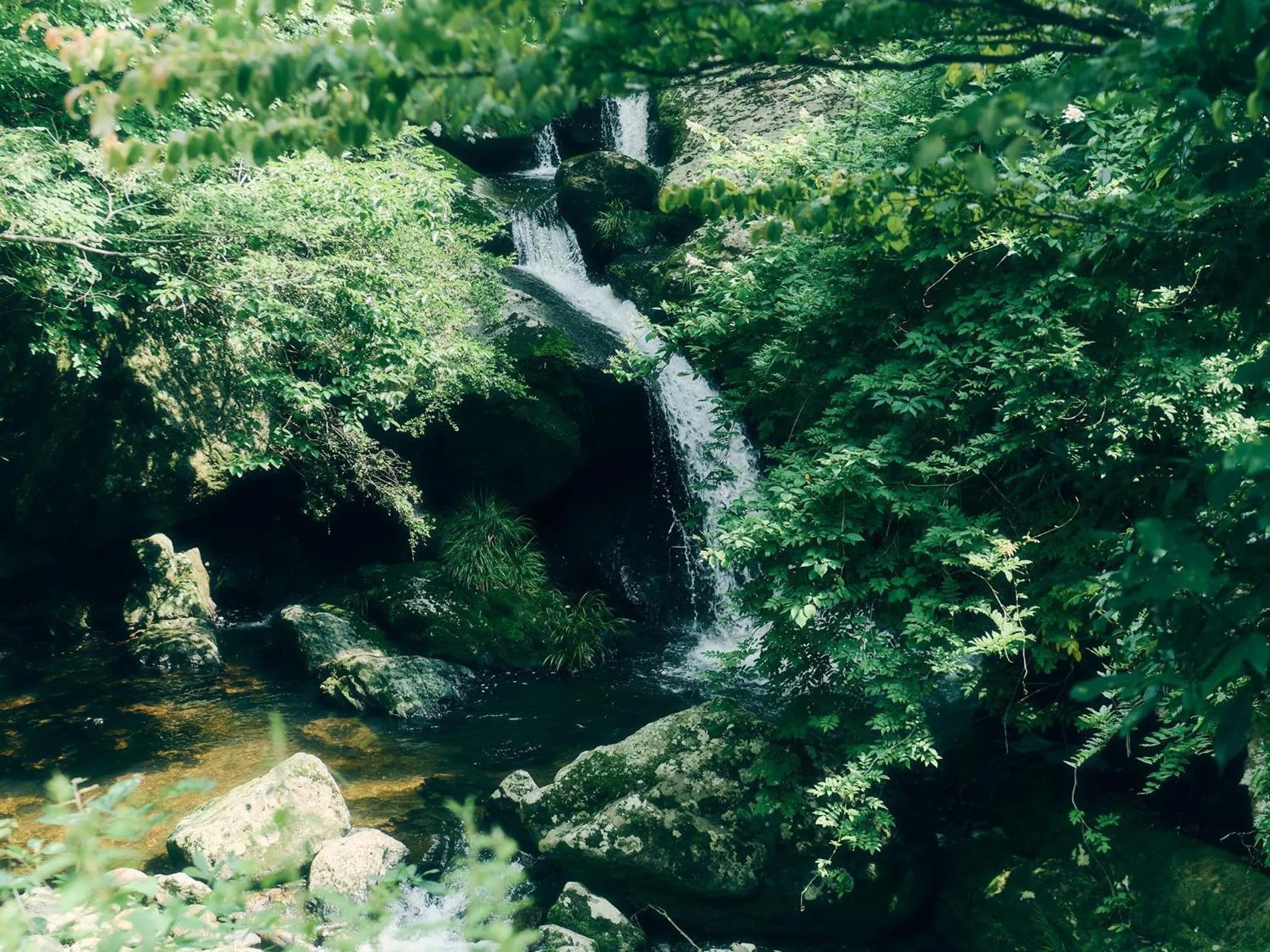 Grandvrio Hotel Tamba Sasayama Wakura - ROUTE INN HOTELS -