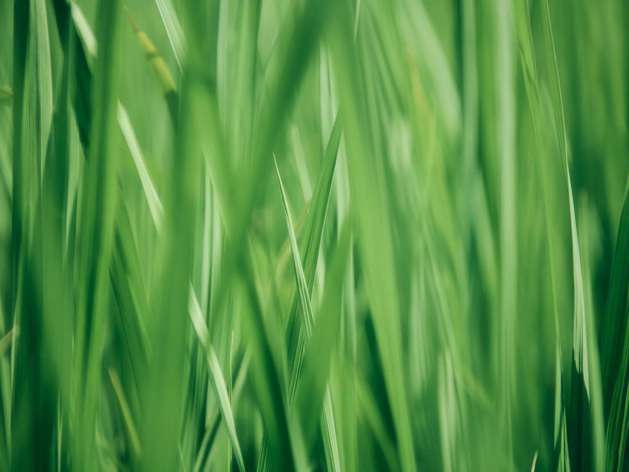 Grandvrio Hotel Tamba Sasayama Wakura - ROUTE INN HOTELS -