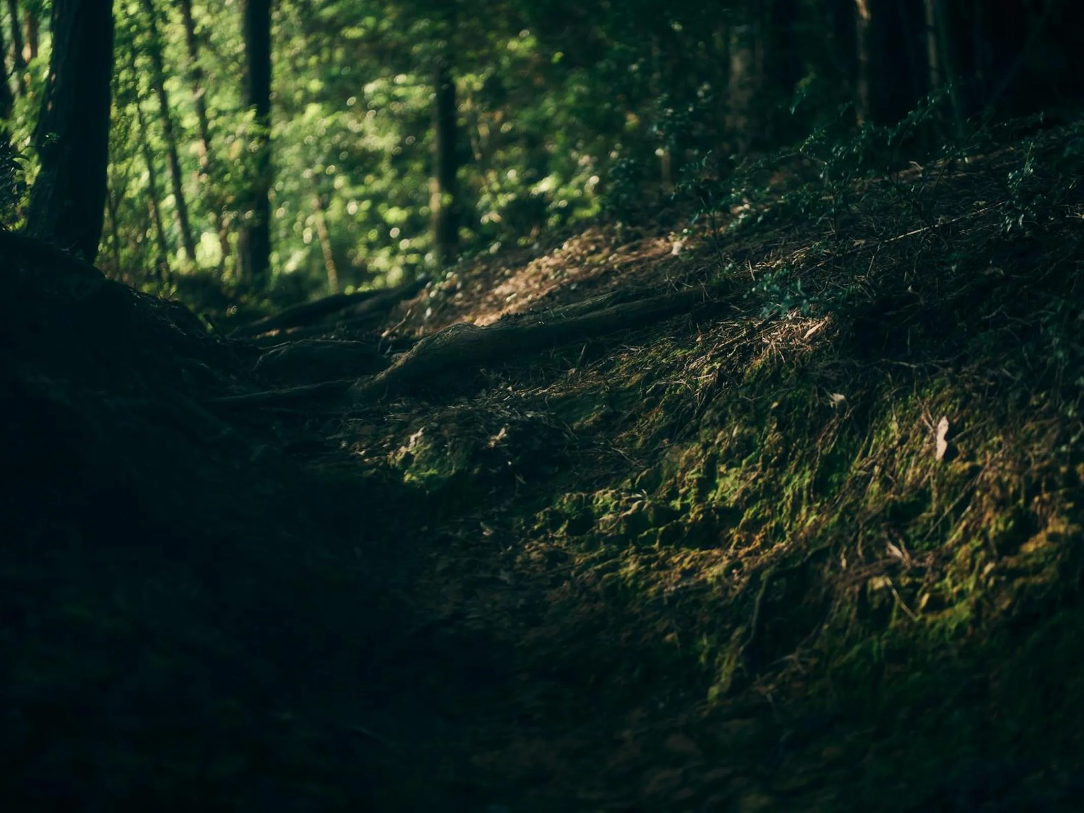 Grandvrio Hotel Tamba Sasayama Wakura - ROUTE INN HOTELS -