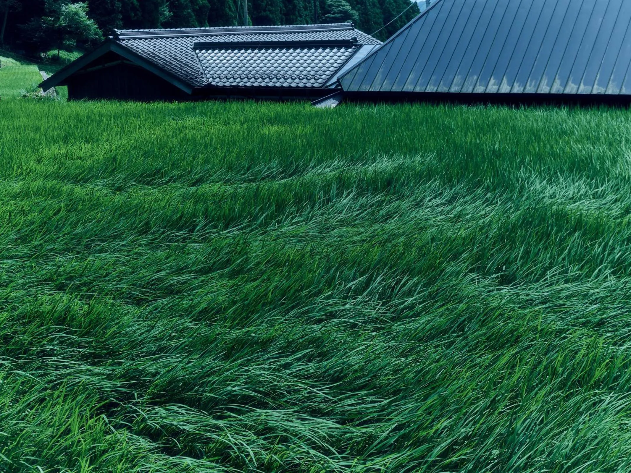 Grandvrio Hotel Tamba Sasayama Wakura - ROUTE INN HOTELS -