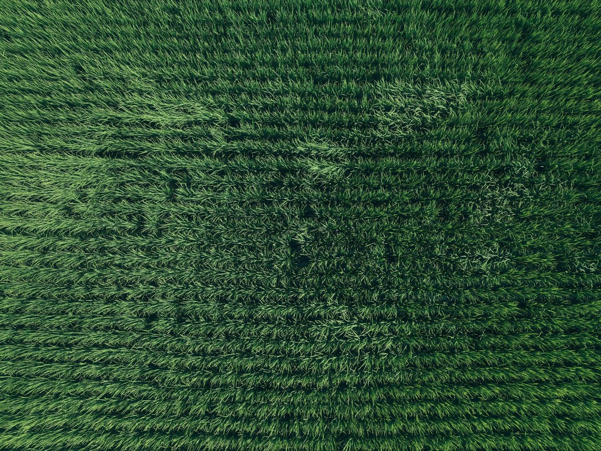 Grandvrio Hotel Tamba Sasayama Wakura - ROUTE INN HOTELS -