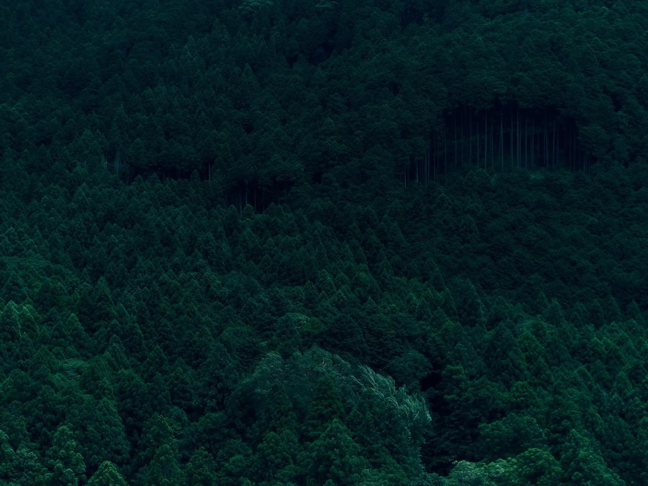 Grandvrio Hotel Tamba Sasayama Wakura - ROUTE INN HOTELS -