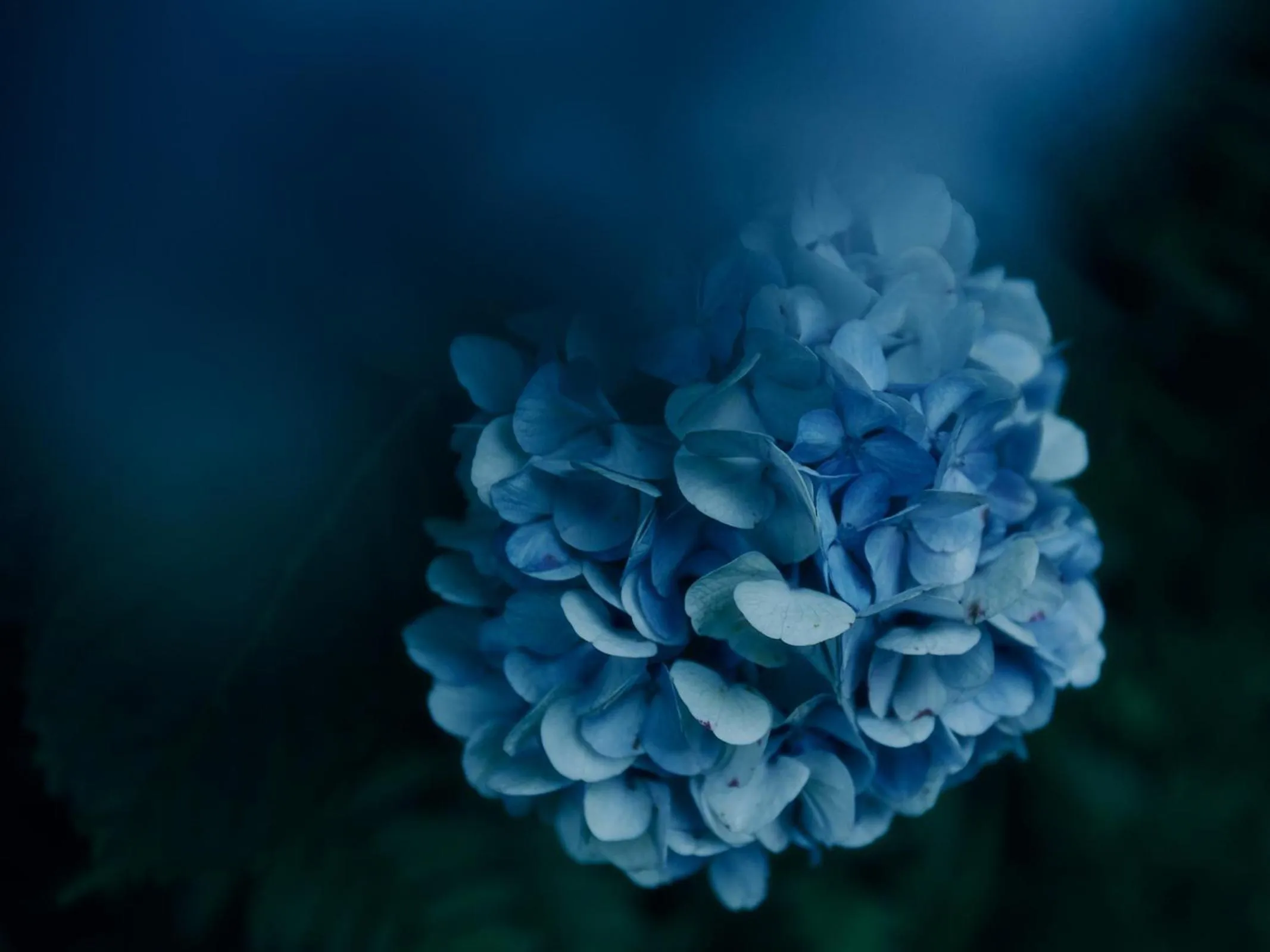 Grandvrio Hotel Tamba Sasayama Wakura - ROUTE INN HOTELS -