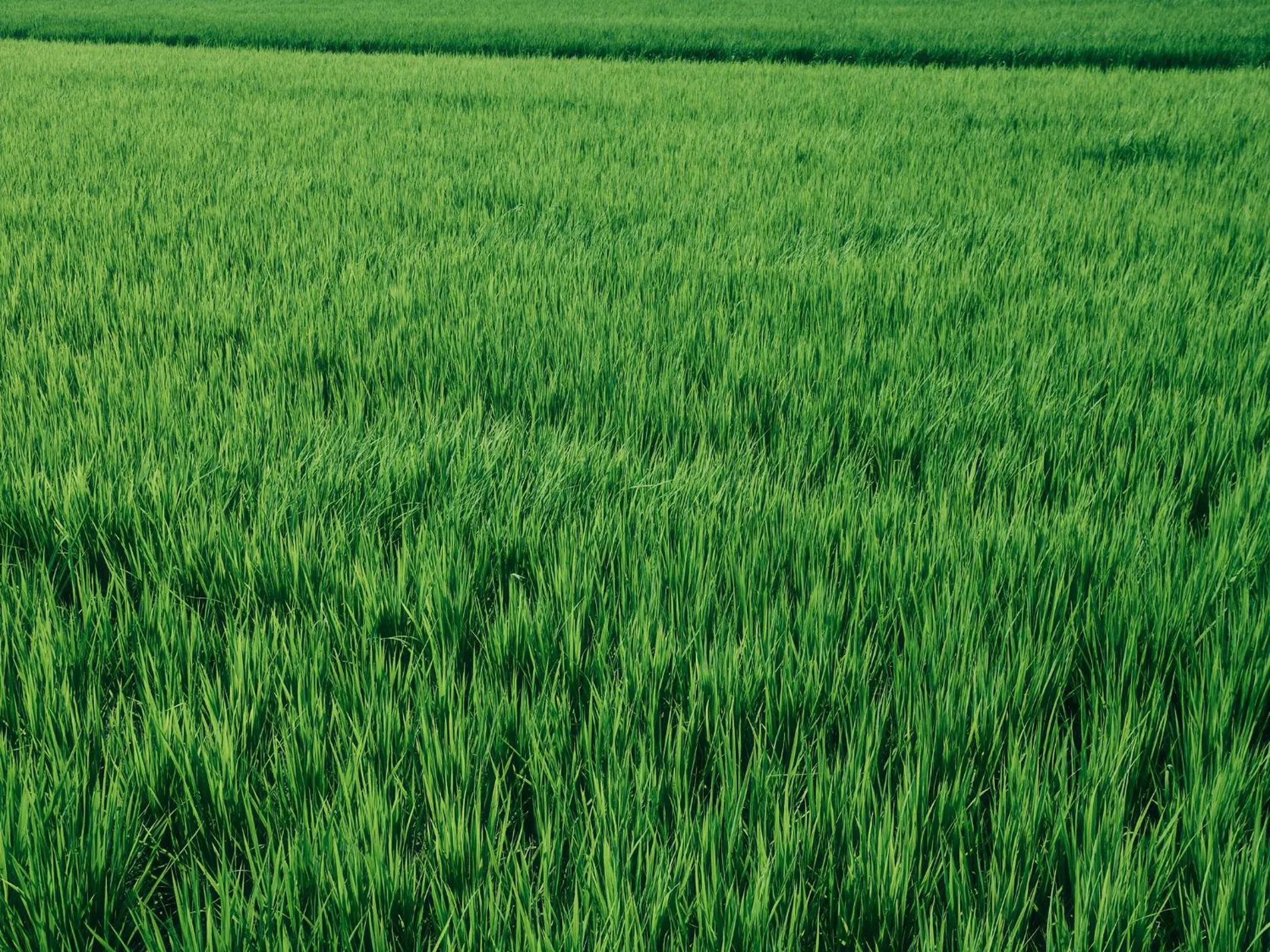 Grandvrio Hotel Tamba Sasayama Wakura - ROUTE INN HOTELS -