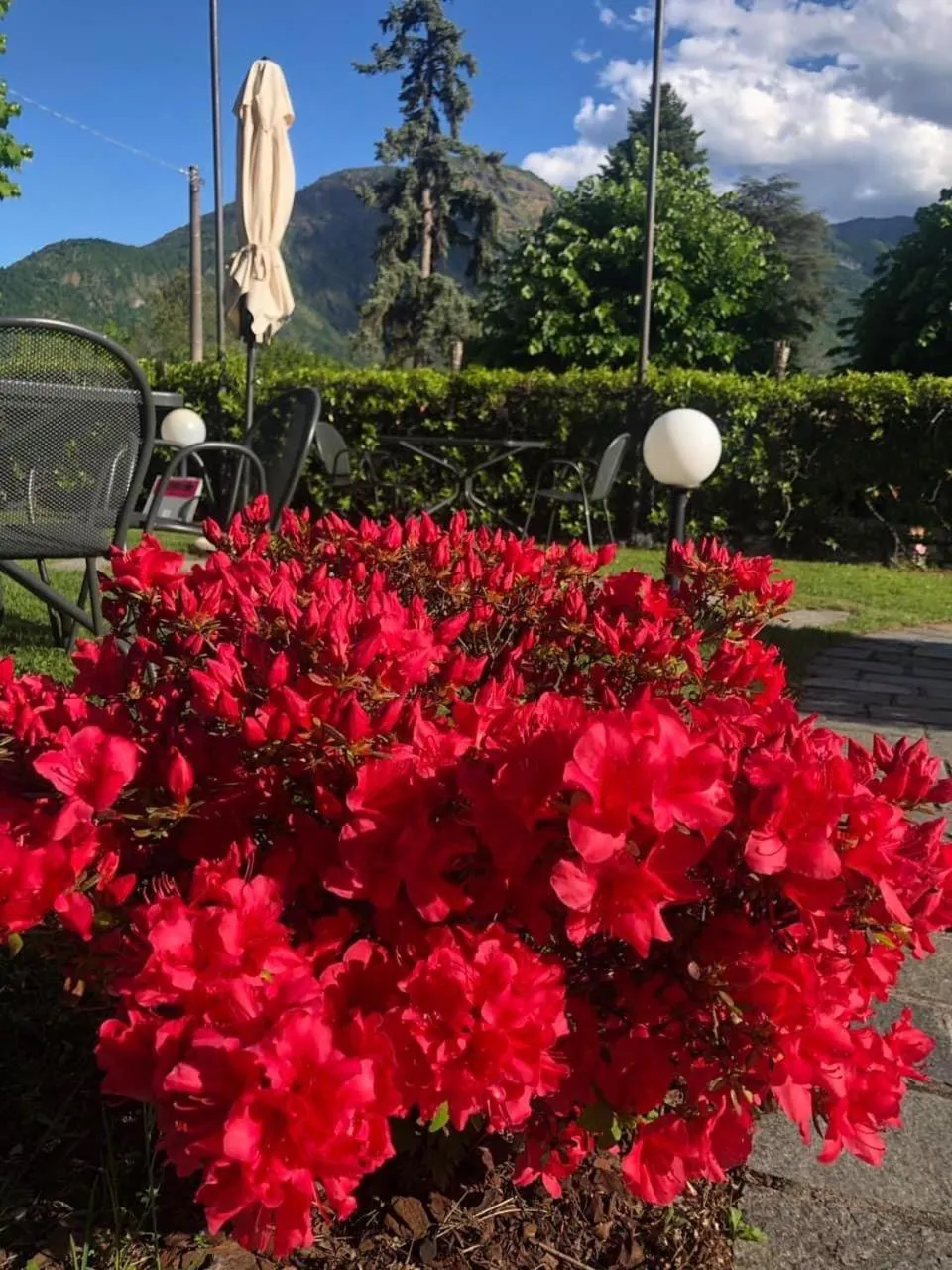Garden in Hotel Lario