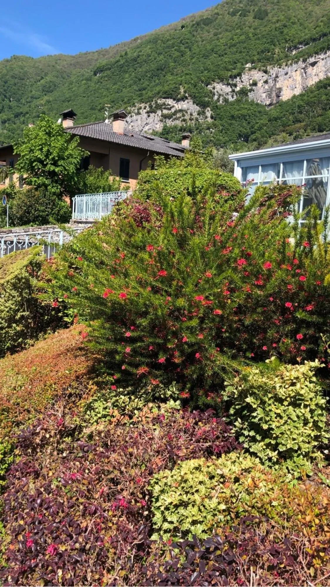 Garden in Hotel Lario