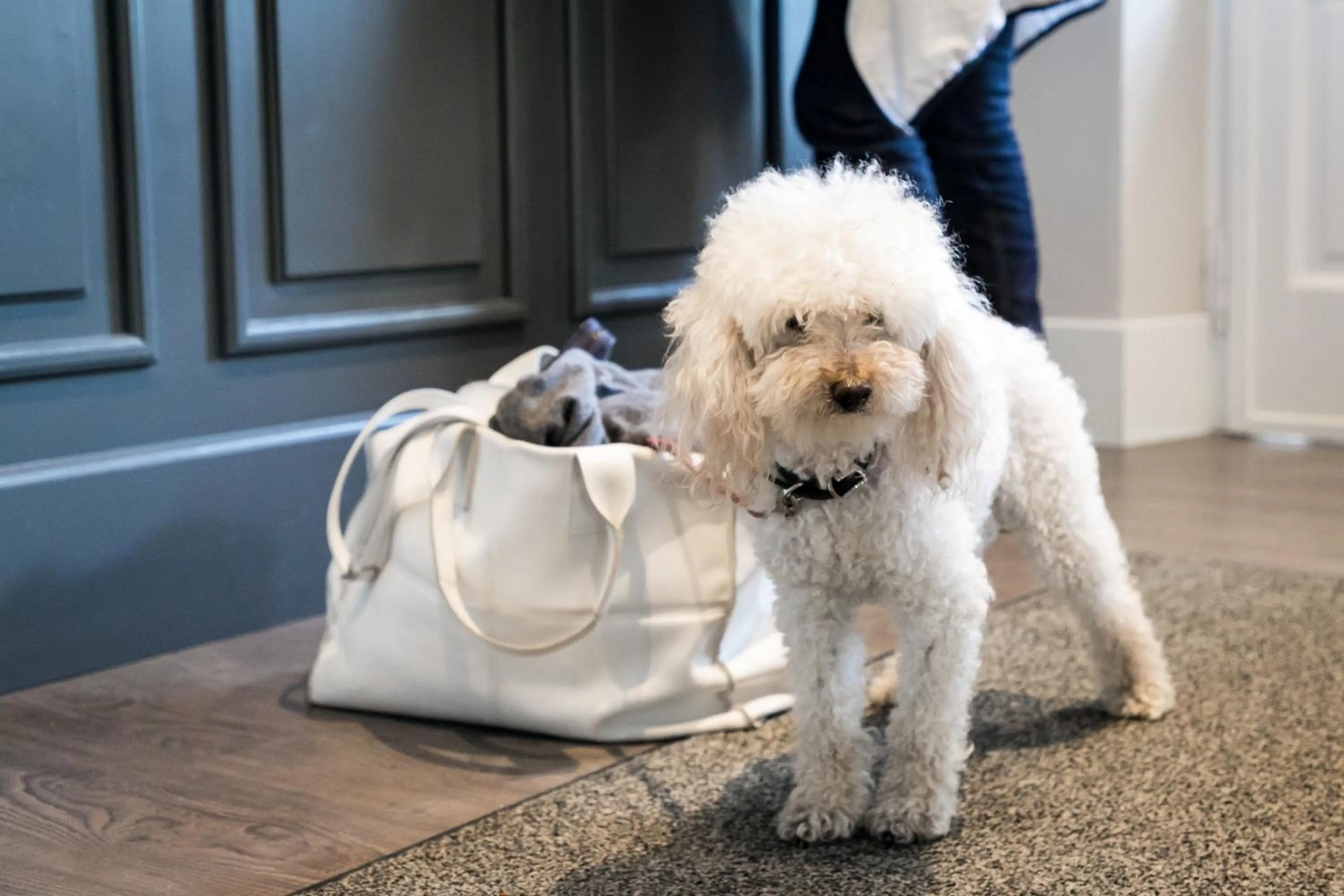 Lobby or reception in Belvedere