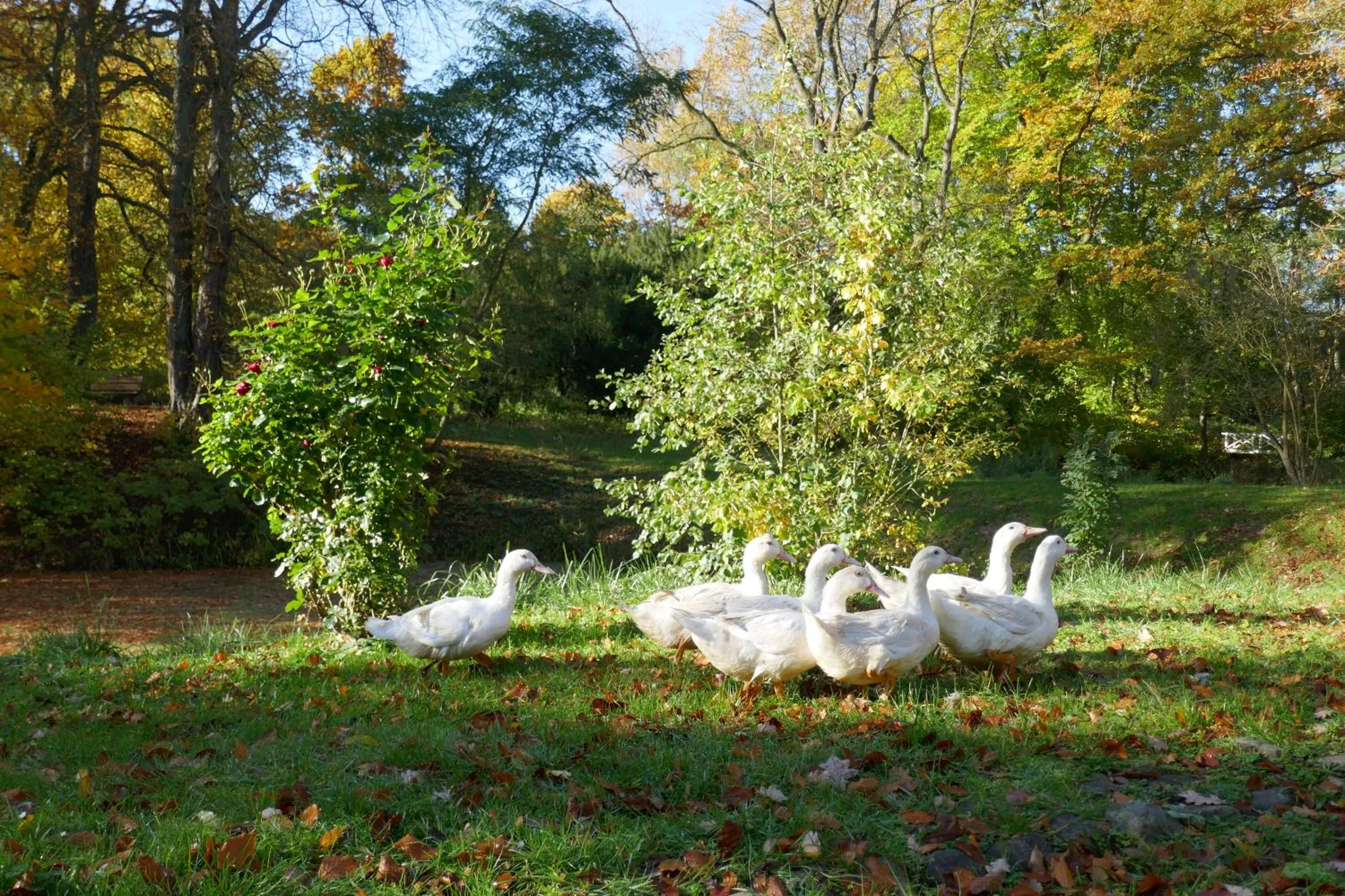 Landhaus Schloss Kölzow