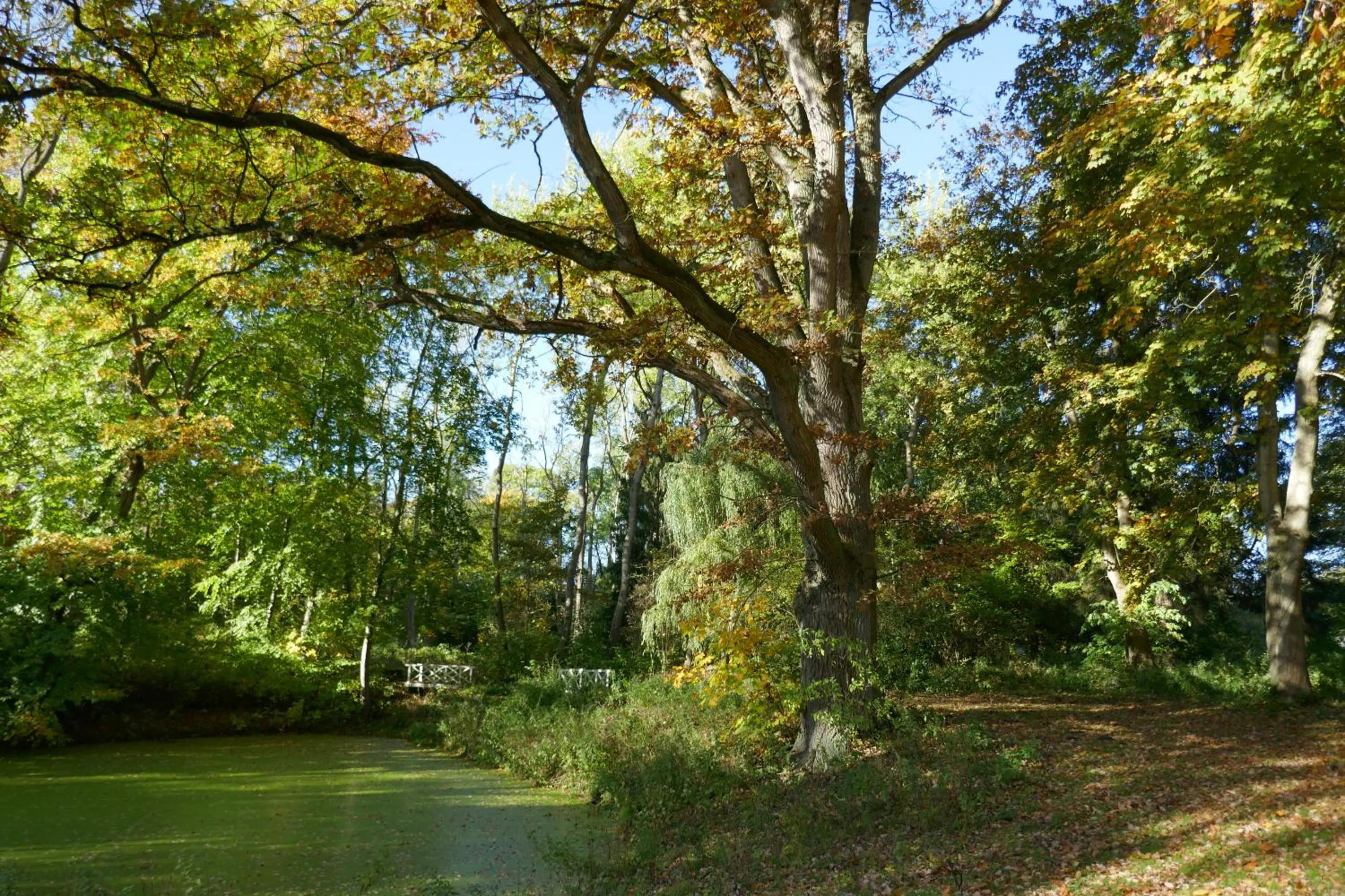 Garden in Landhaus Schloss Kölzow