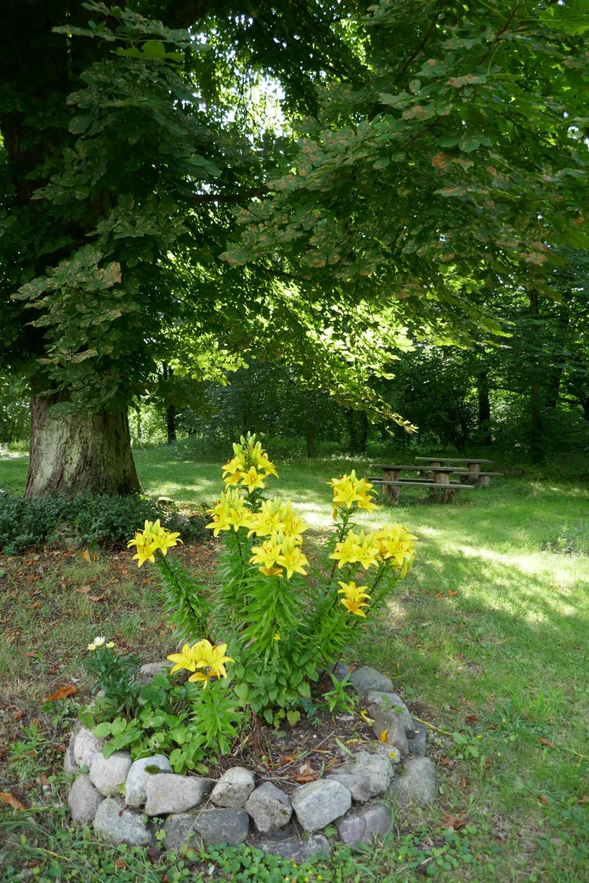 Property building in Landhaus Schloss Kölzow