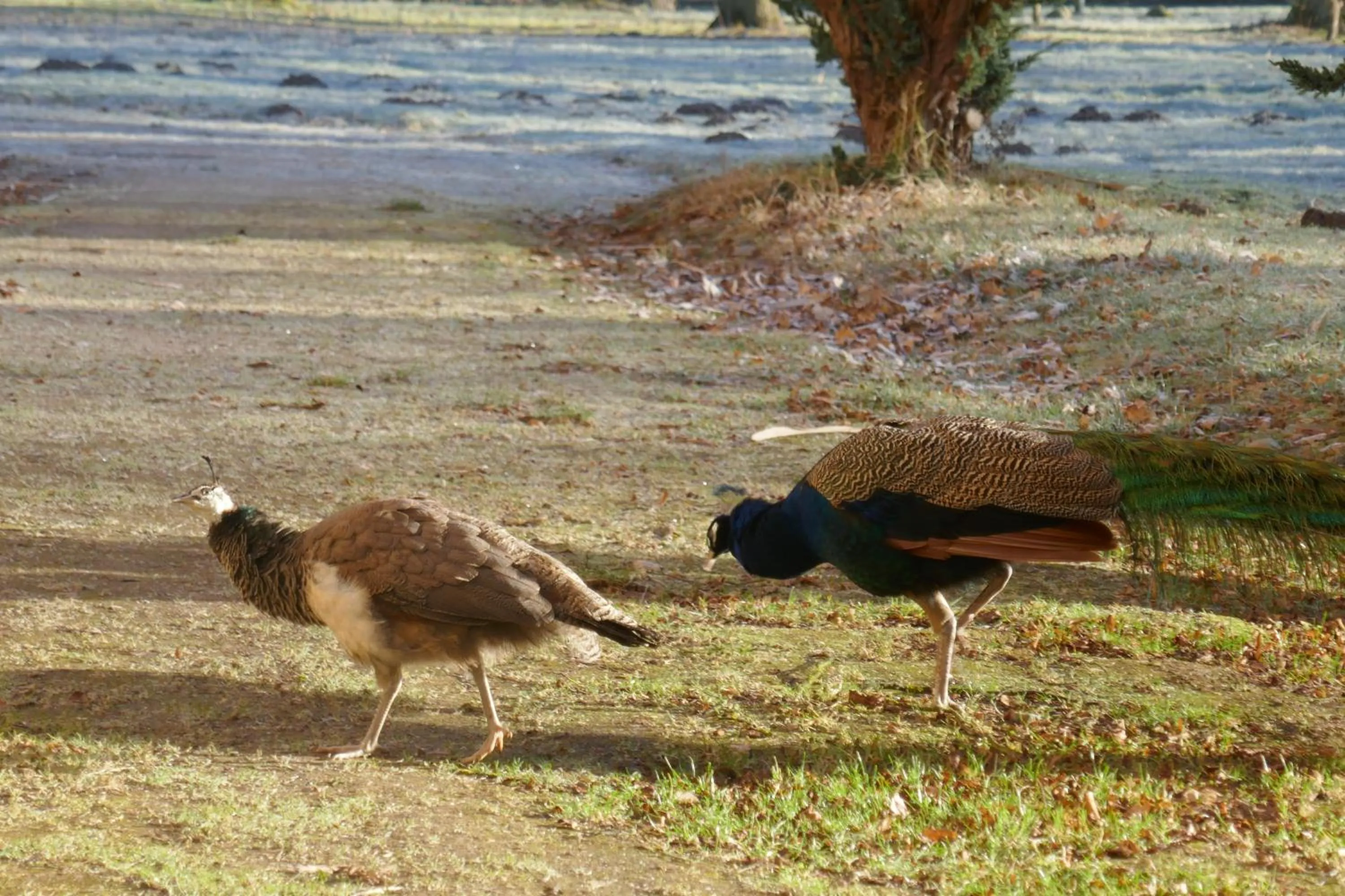 Landhaus Schloss Kölzow