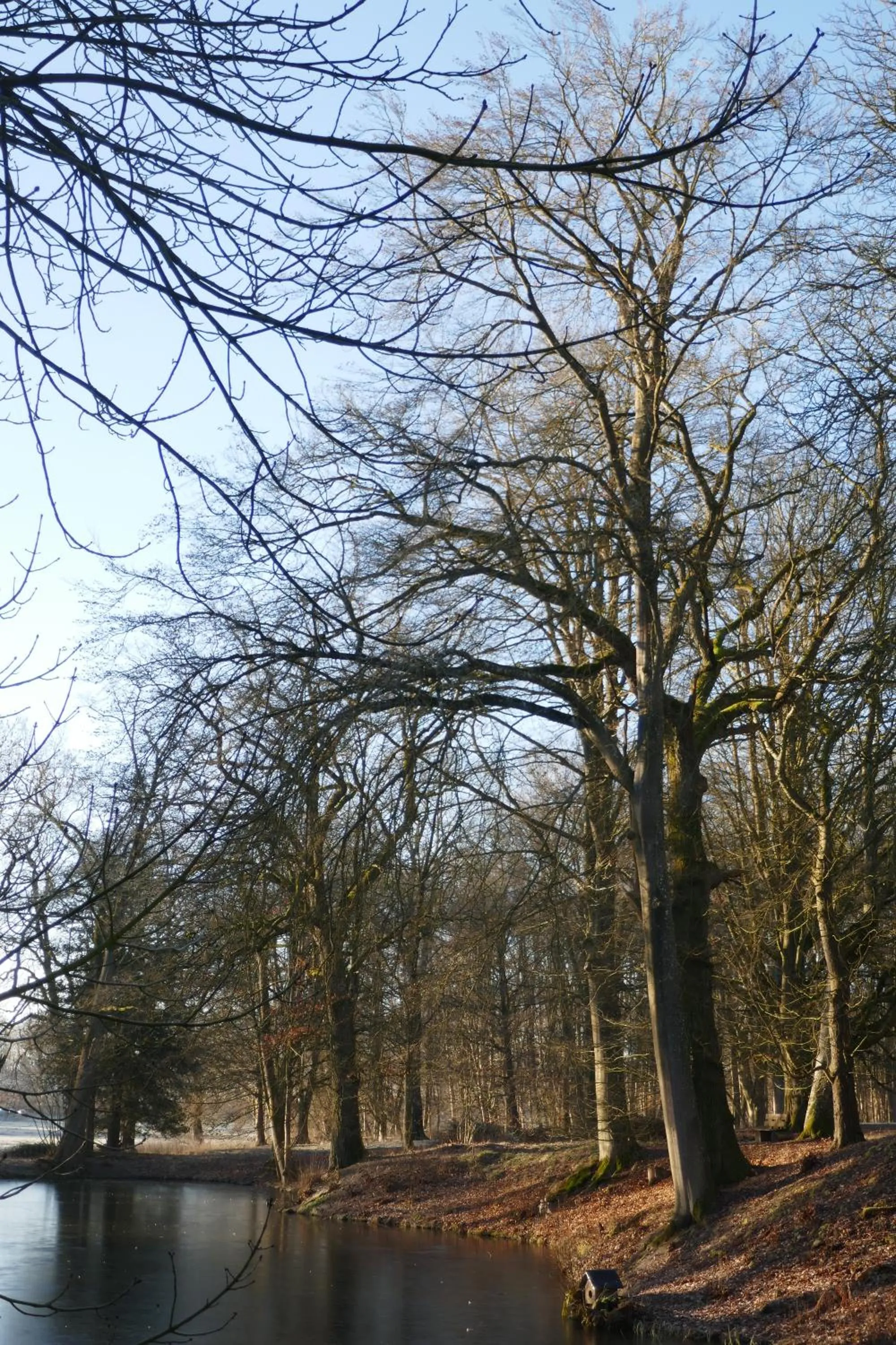 Landhaus Schloss Kölzow