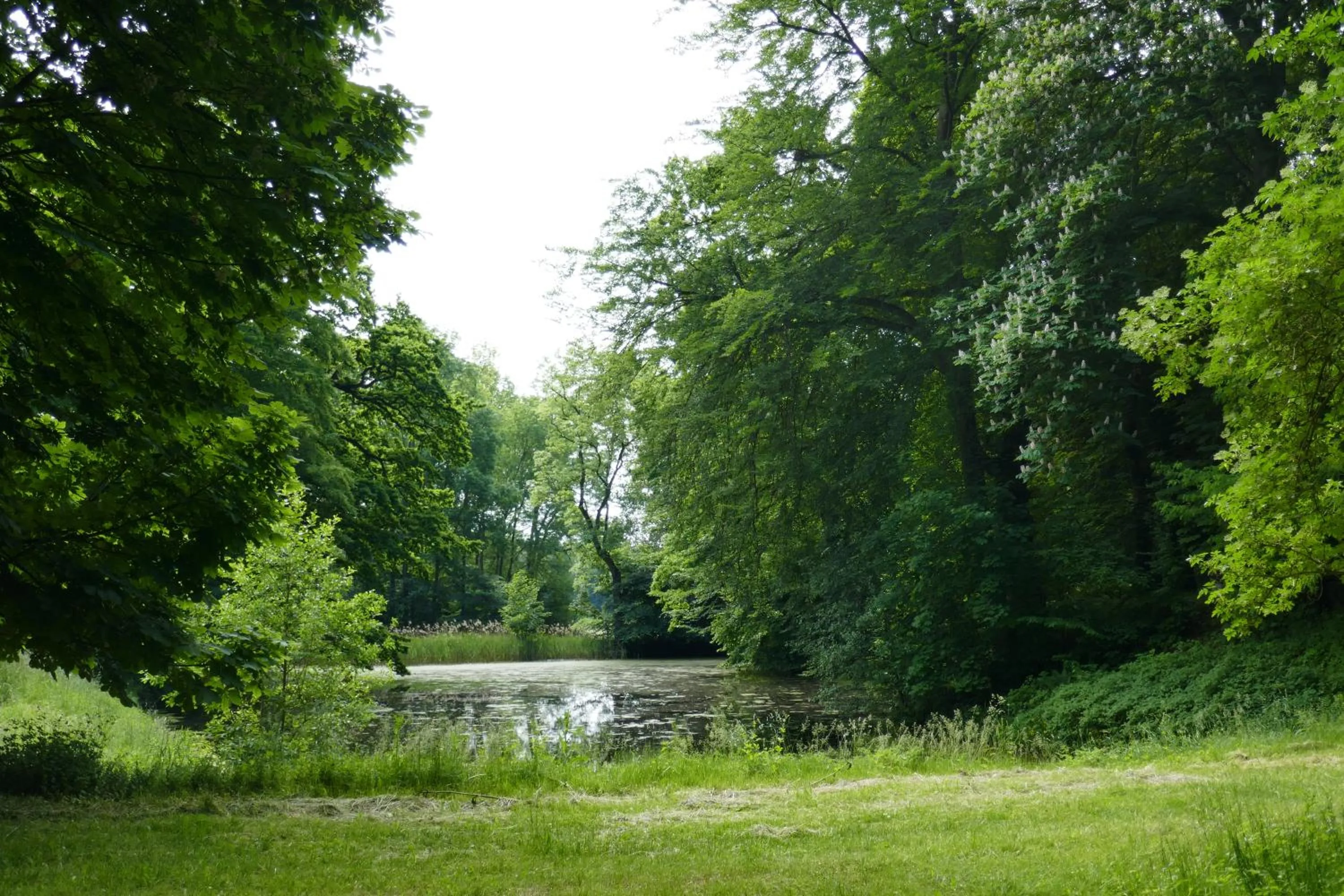 Garden in Landhaus Schloss Kölzow