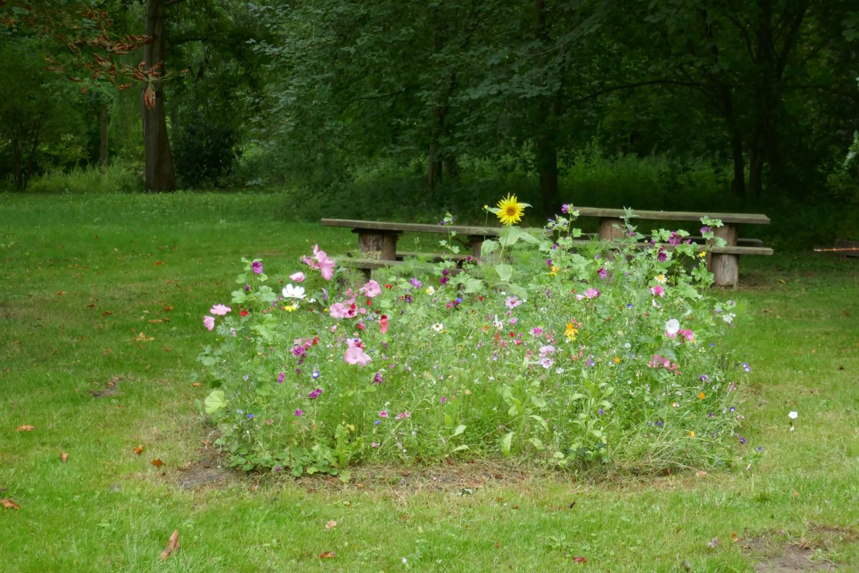 Landhaus Schloss Kölzow