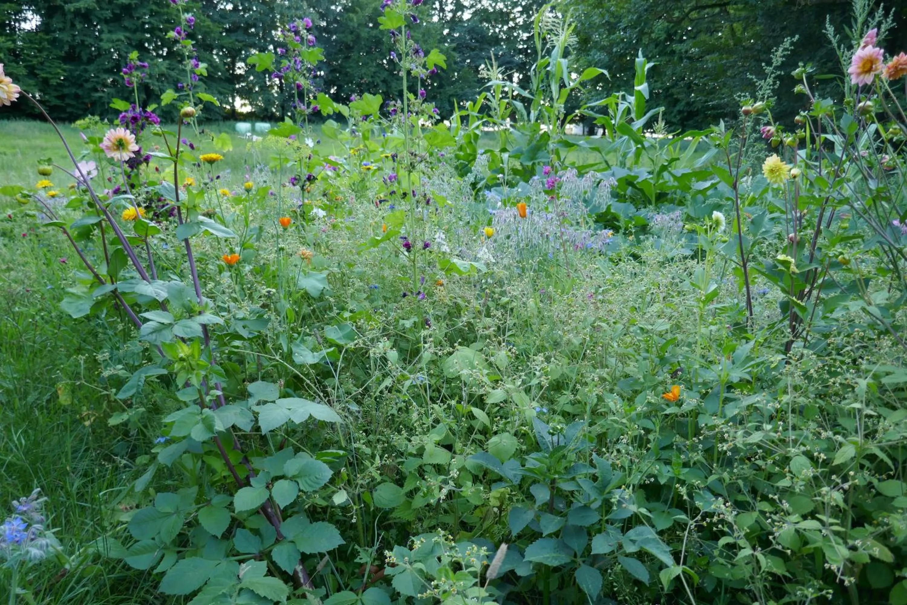 Landhaus Schloss Kölzow