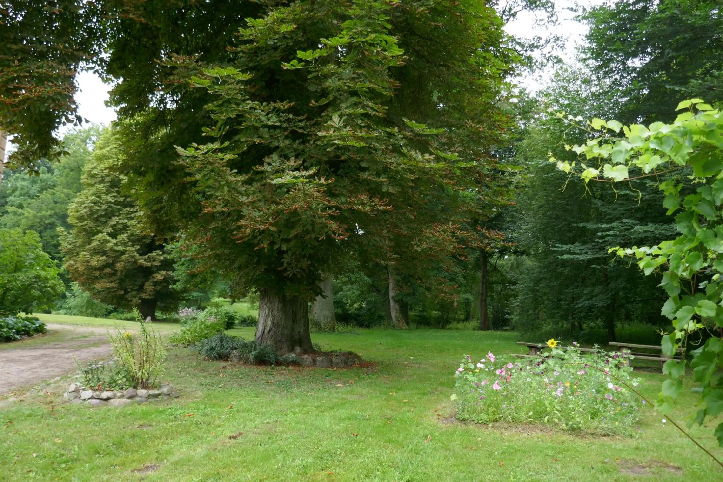 Garden in Landhaus Schloss Kölzow
